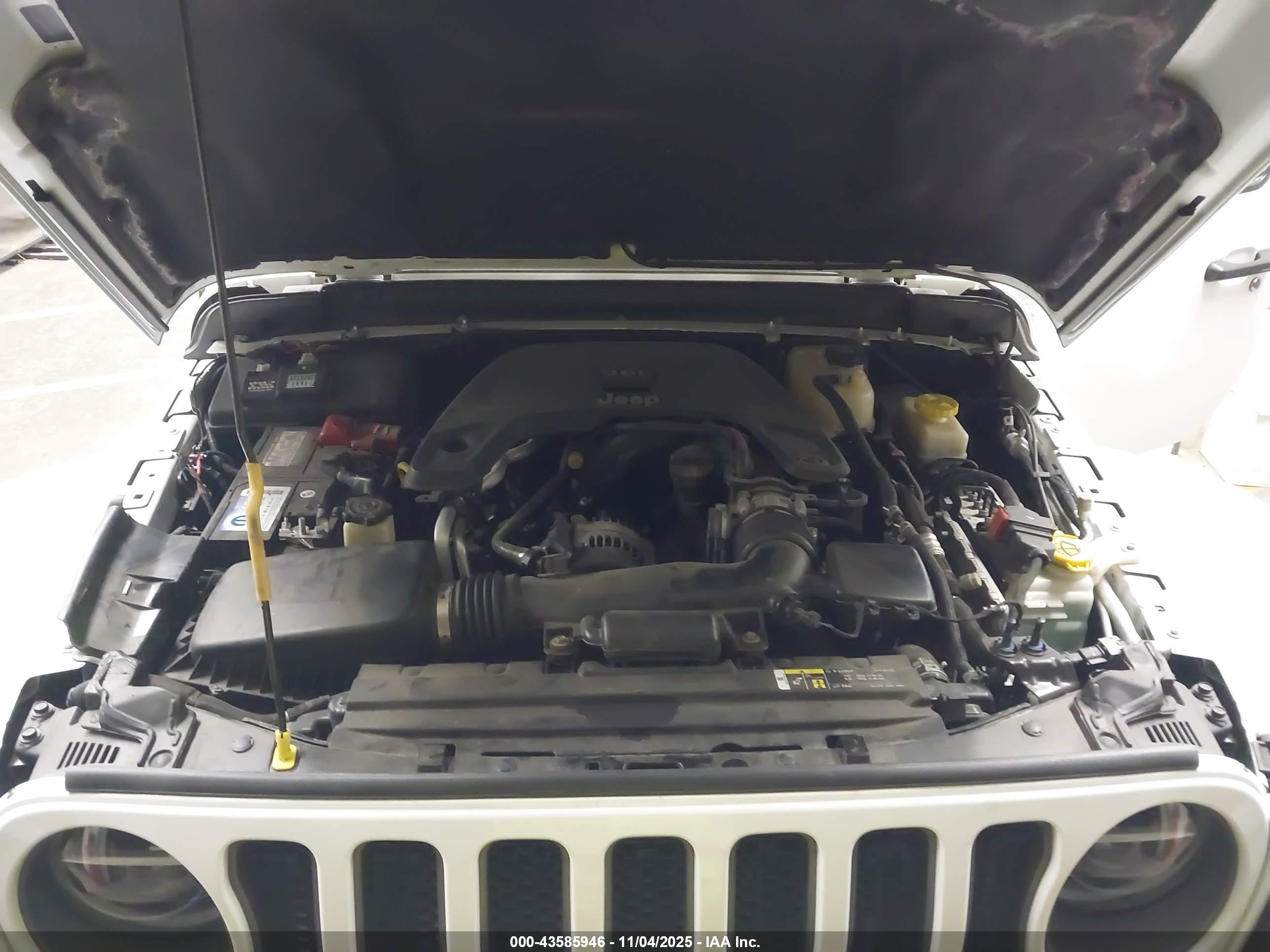 JEEP WRANGLER image 10