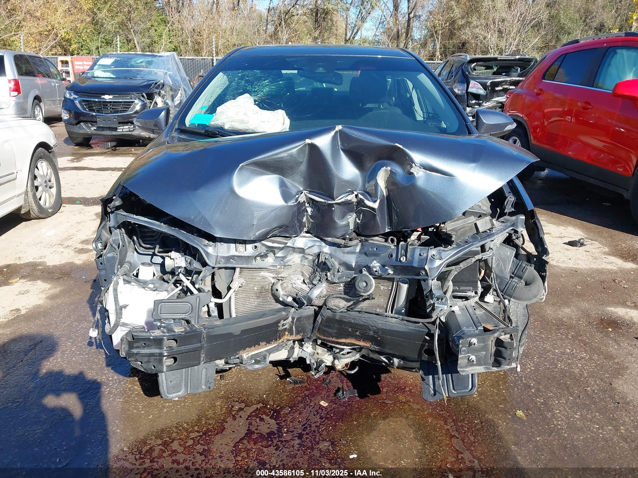 TOYOTA COROLLA image 6