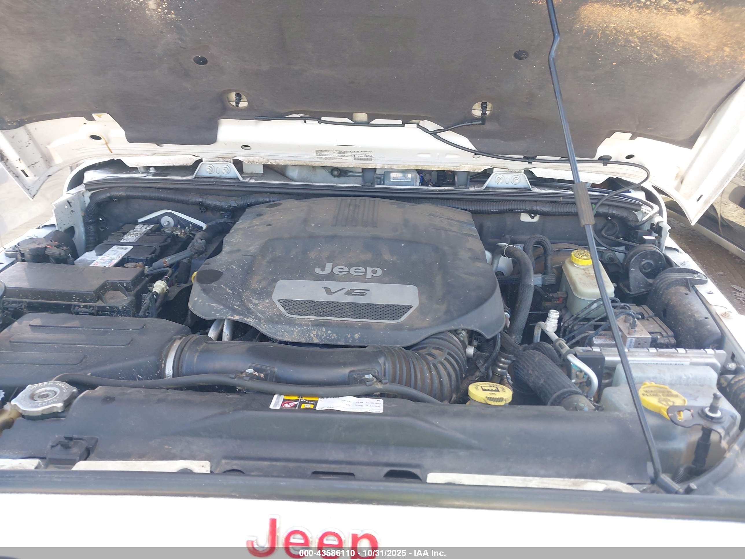 JEEP WRANGLER image 10