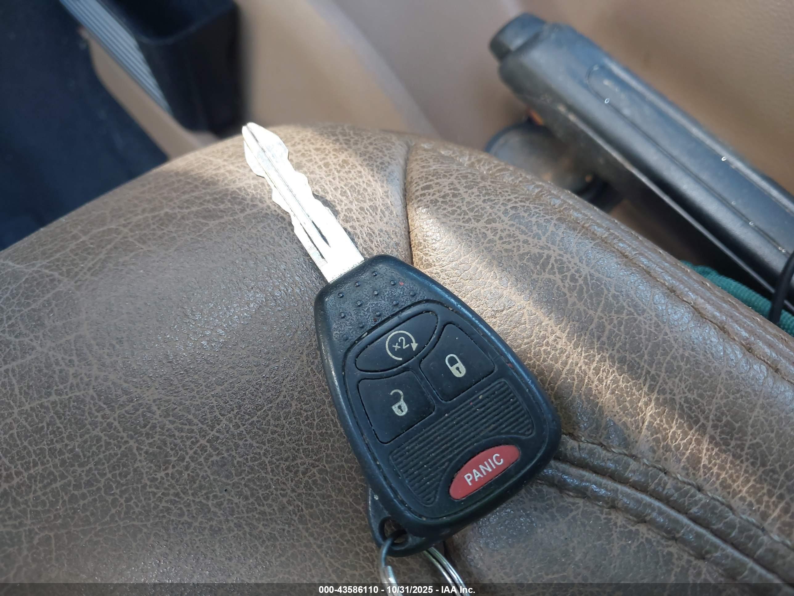 JEEP WRANGLER image 11
