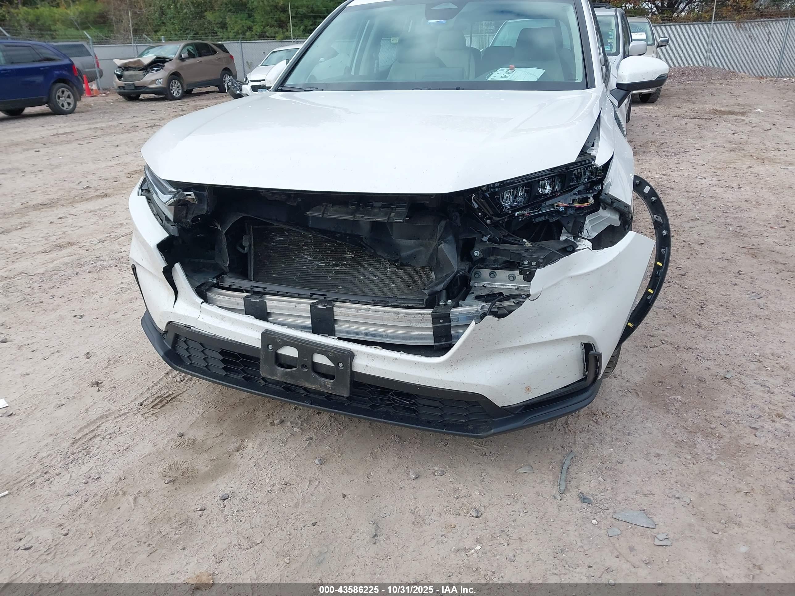 HONDA CR-V image 6