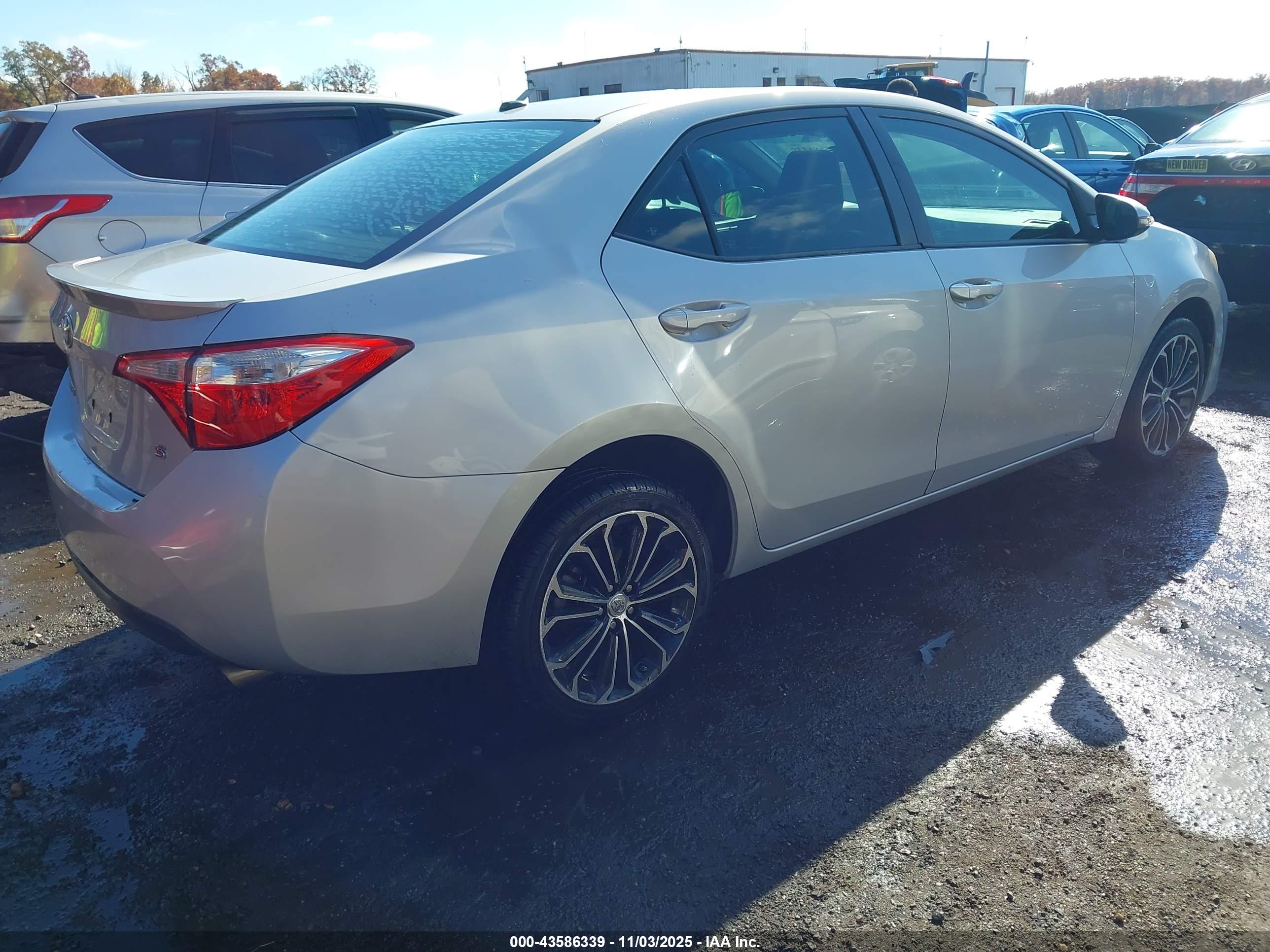TOYOTA COROLLA image 4