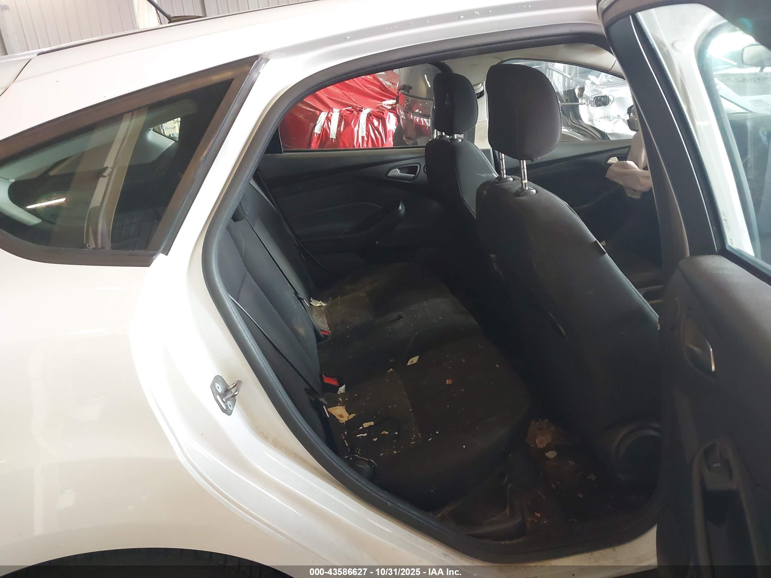 FORD FOCUS image 8