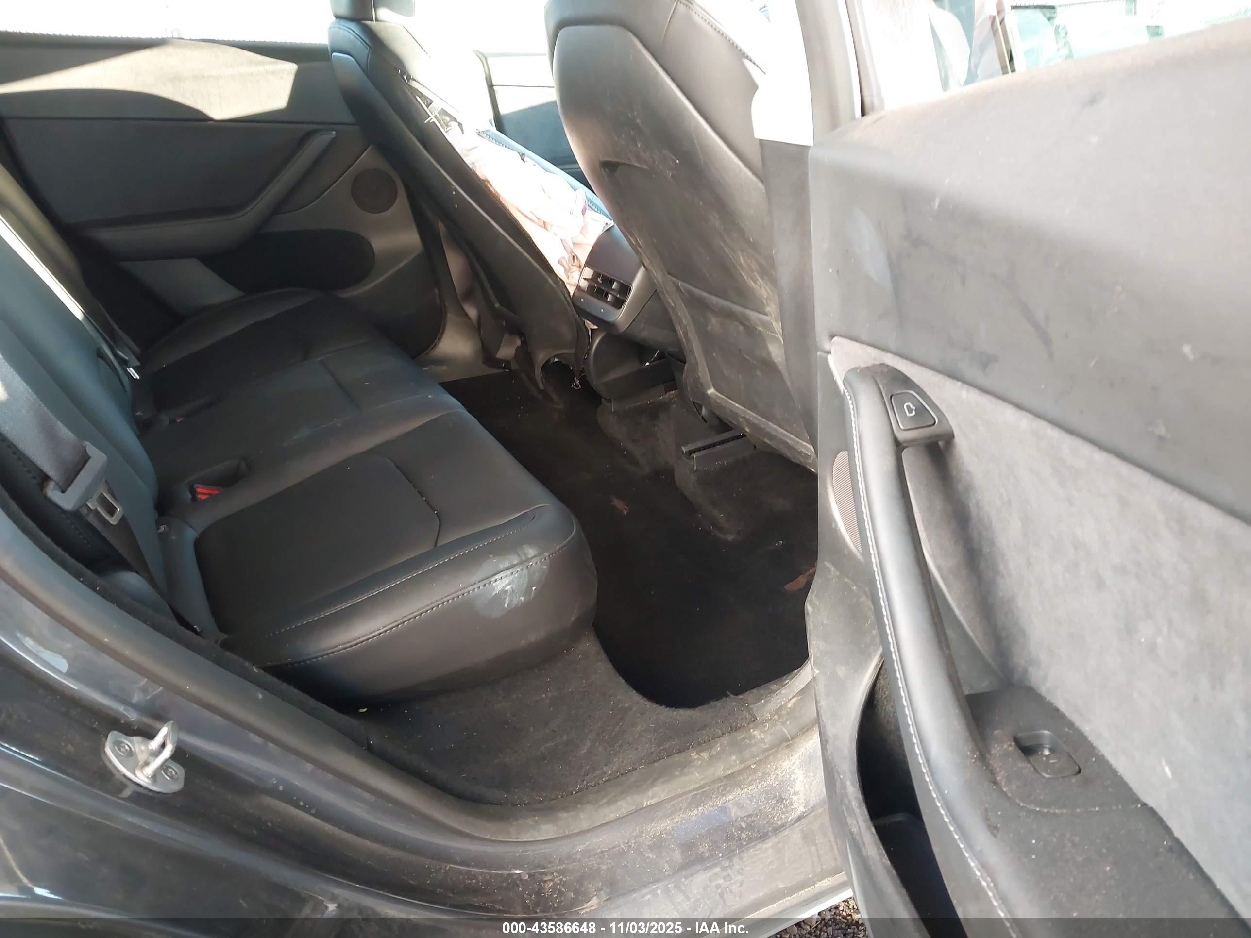 TESLA MODEL image 8