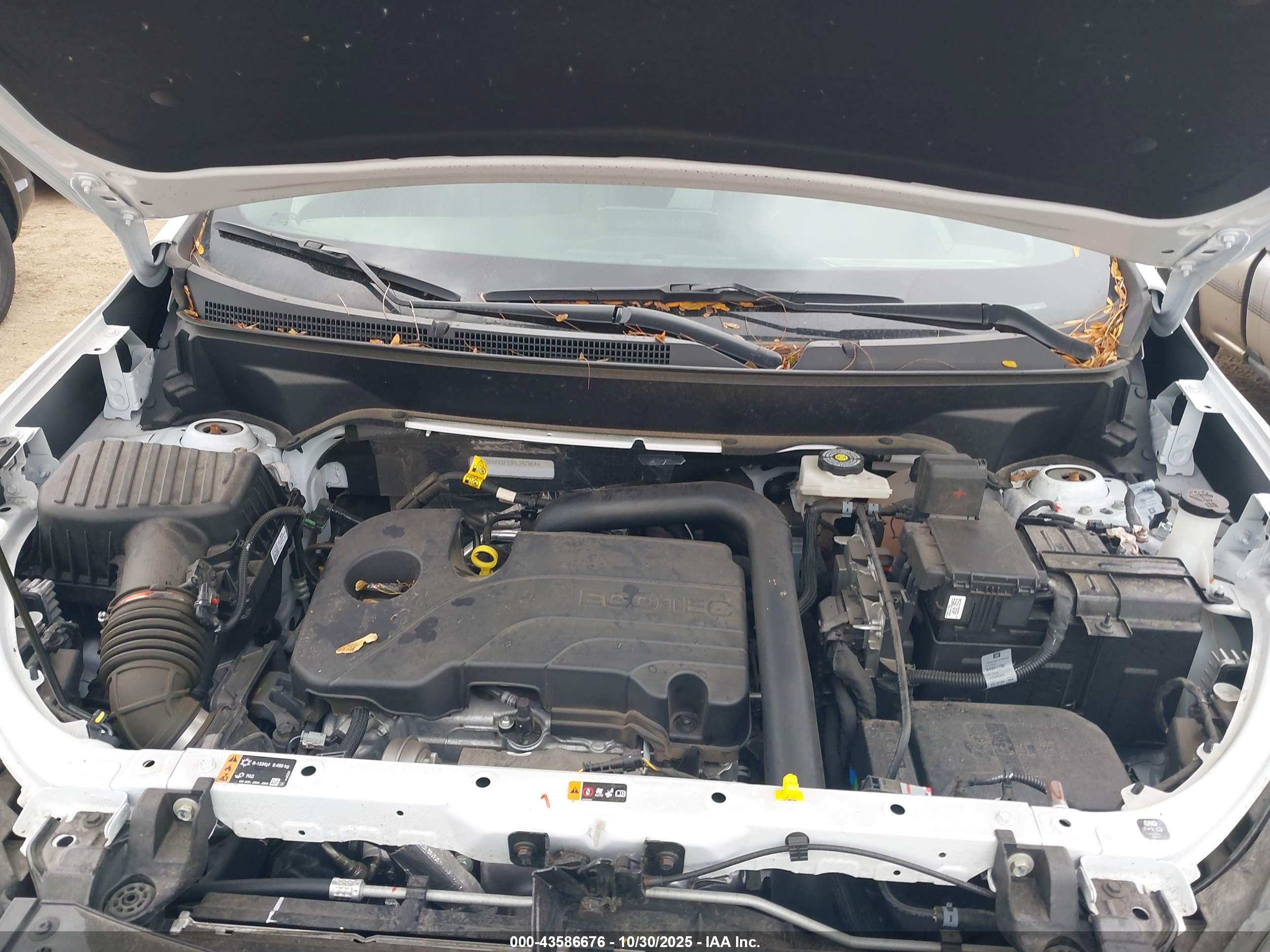CHEVROLET EQUINOX image 10