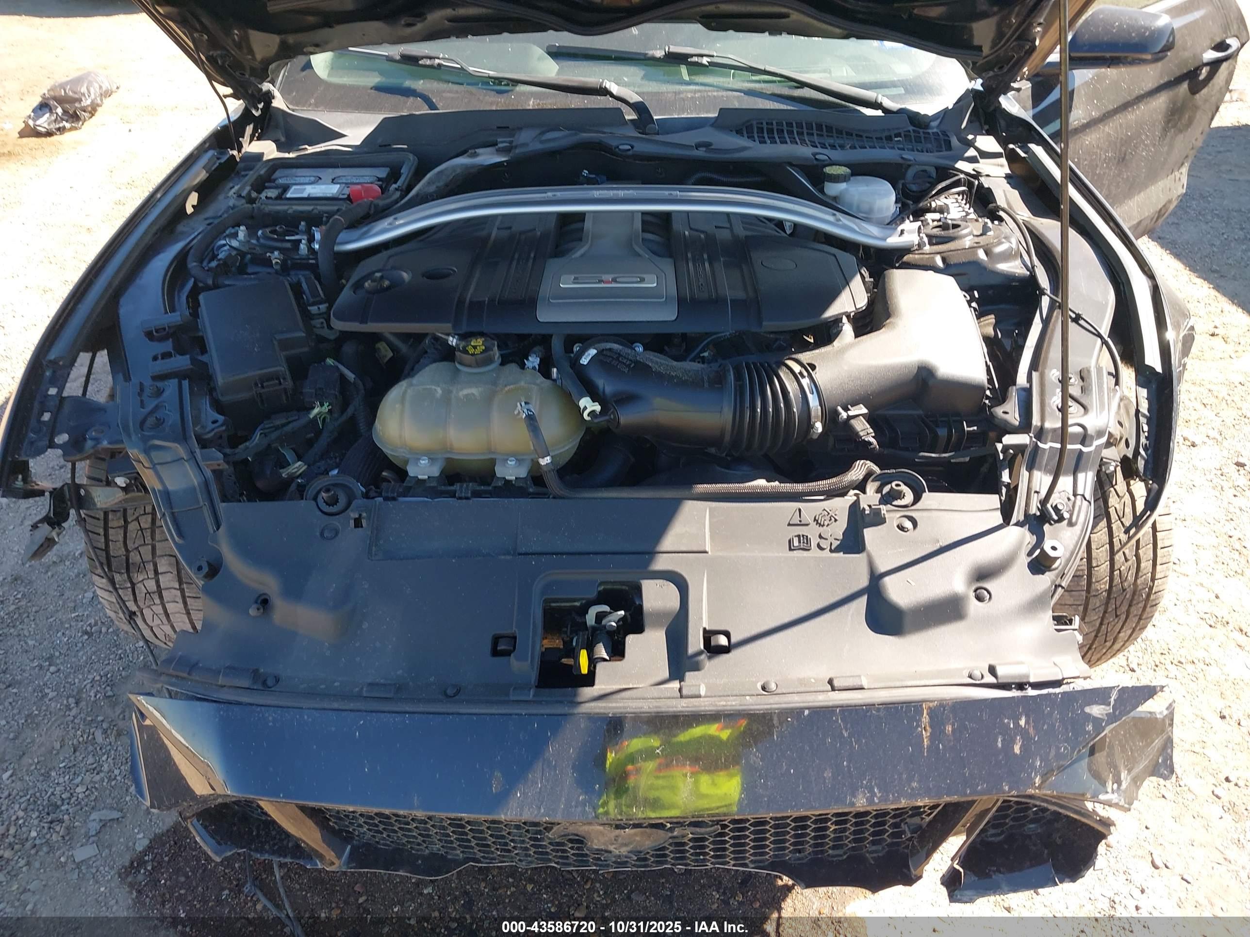 FORD MUSTANG image 10