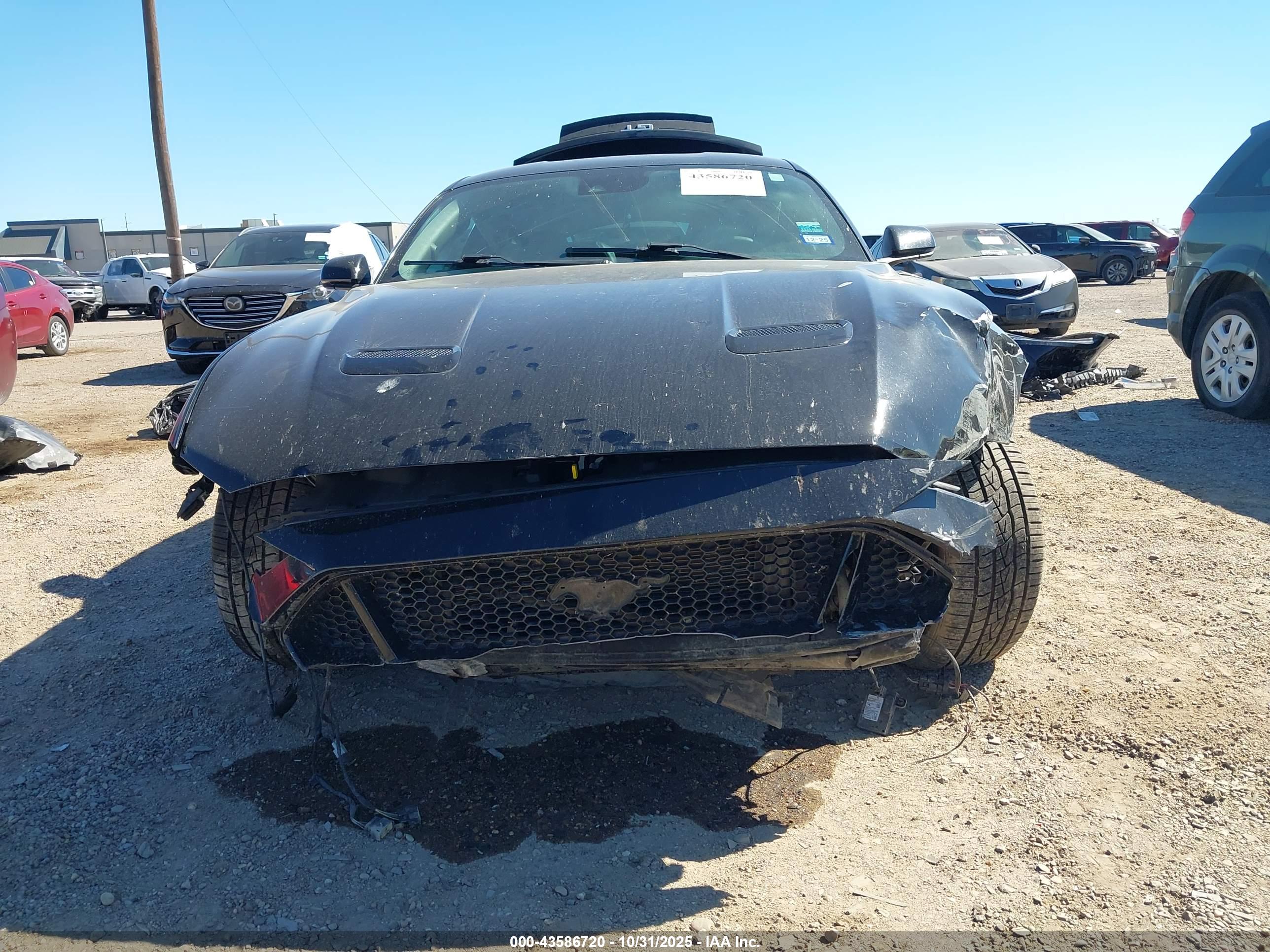 FORD MUSTANG image 6