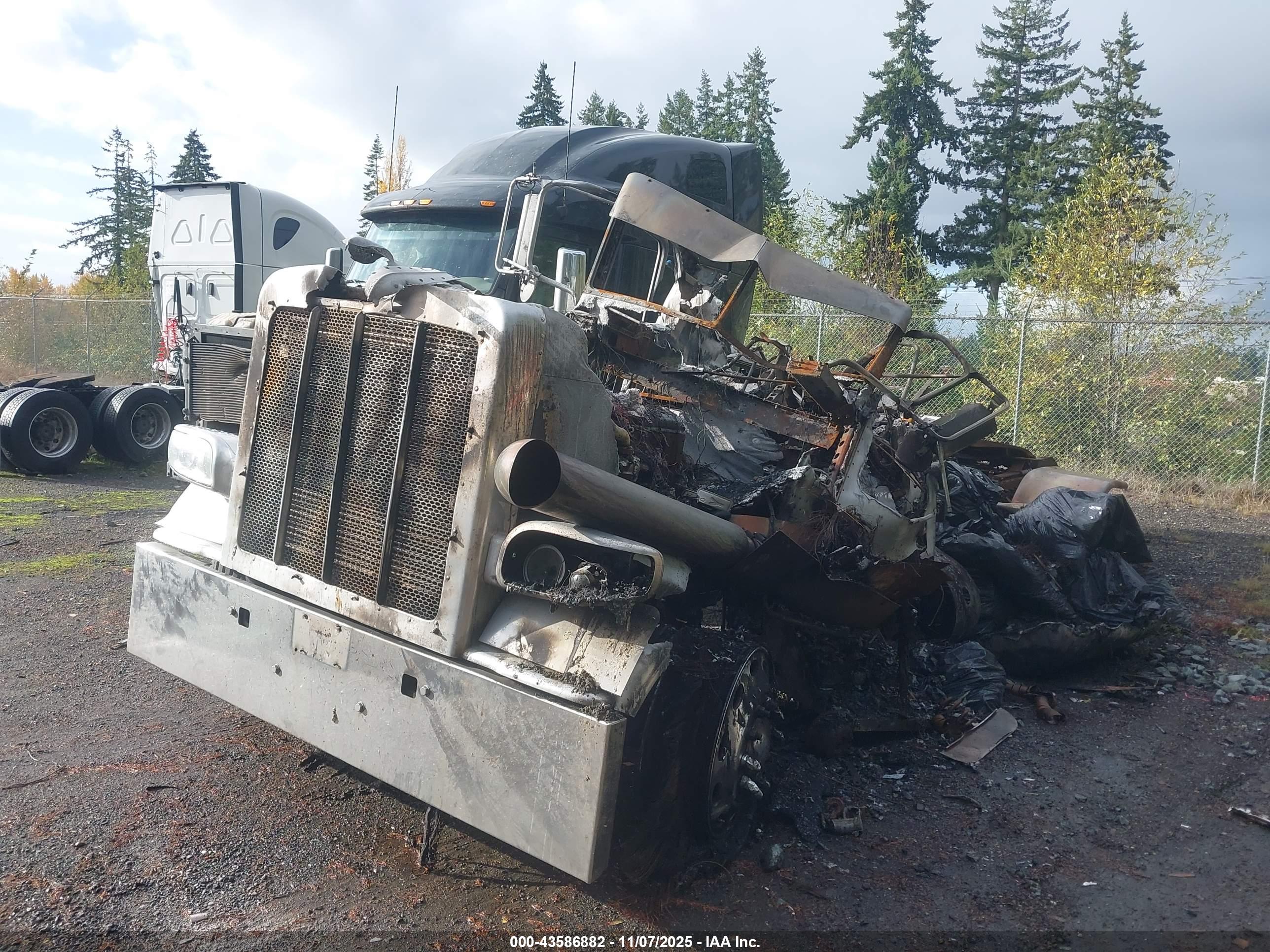 PETERBILT 388 image 2