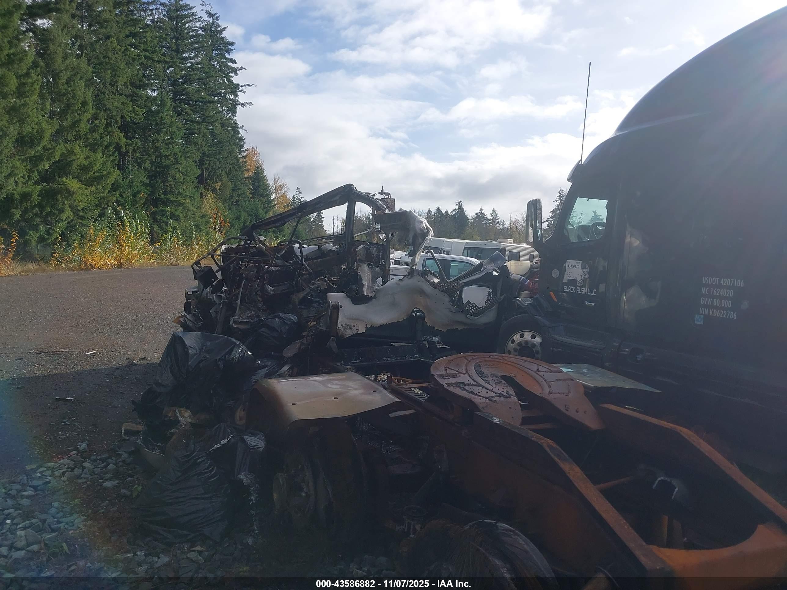 PETERBILT 388 image 3