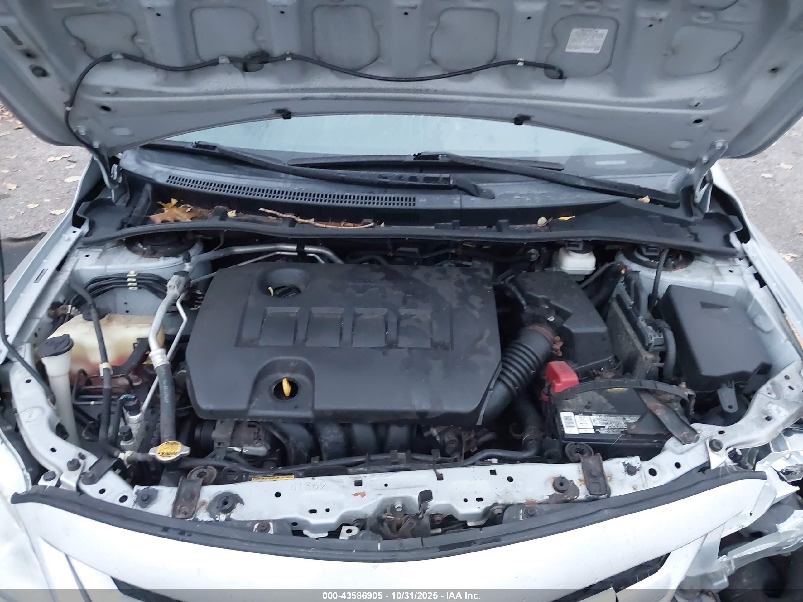 TOYOTA COROLLA image 10