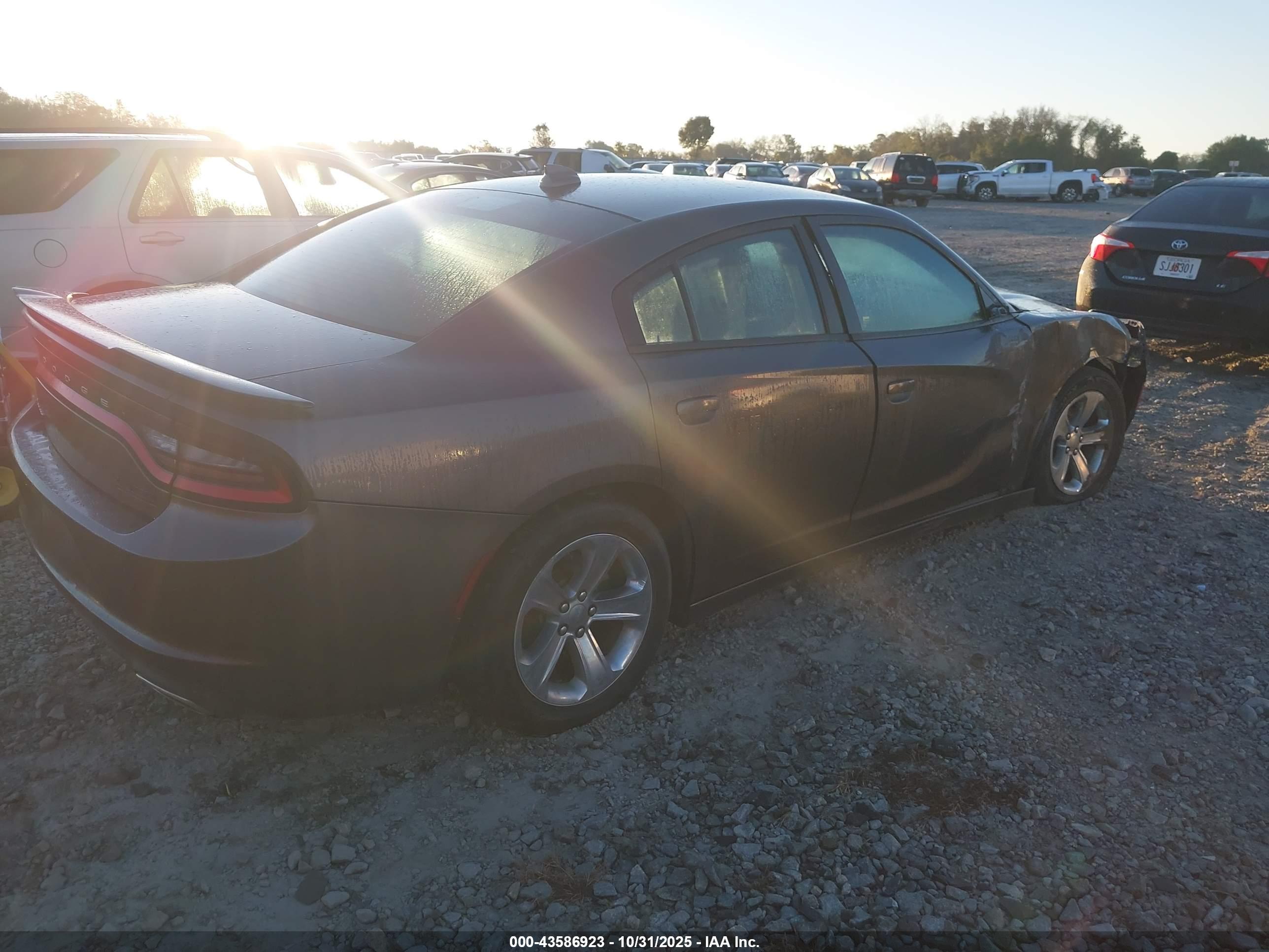 DODGE CHARGER image 4