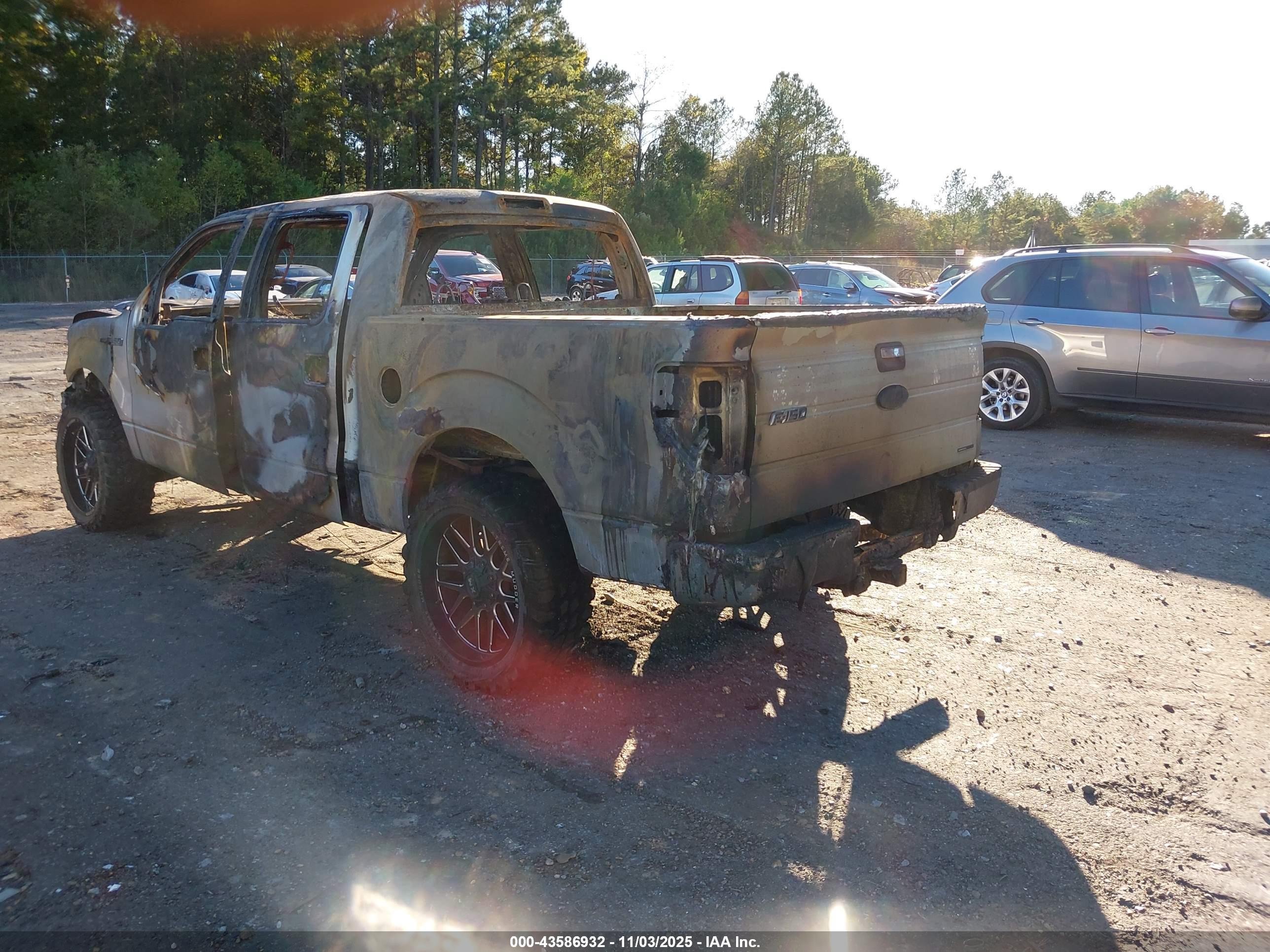 FORD F-150 image 3