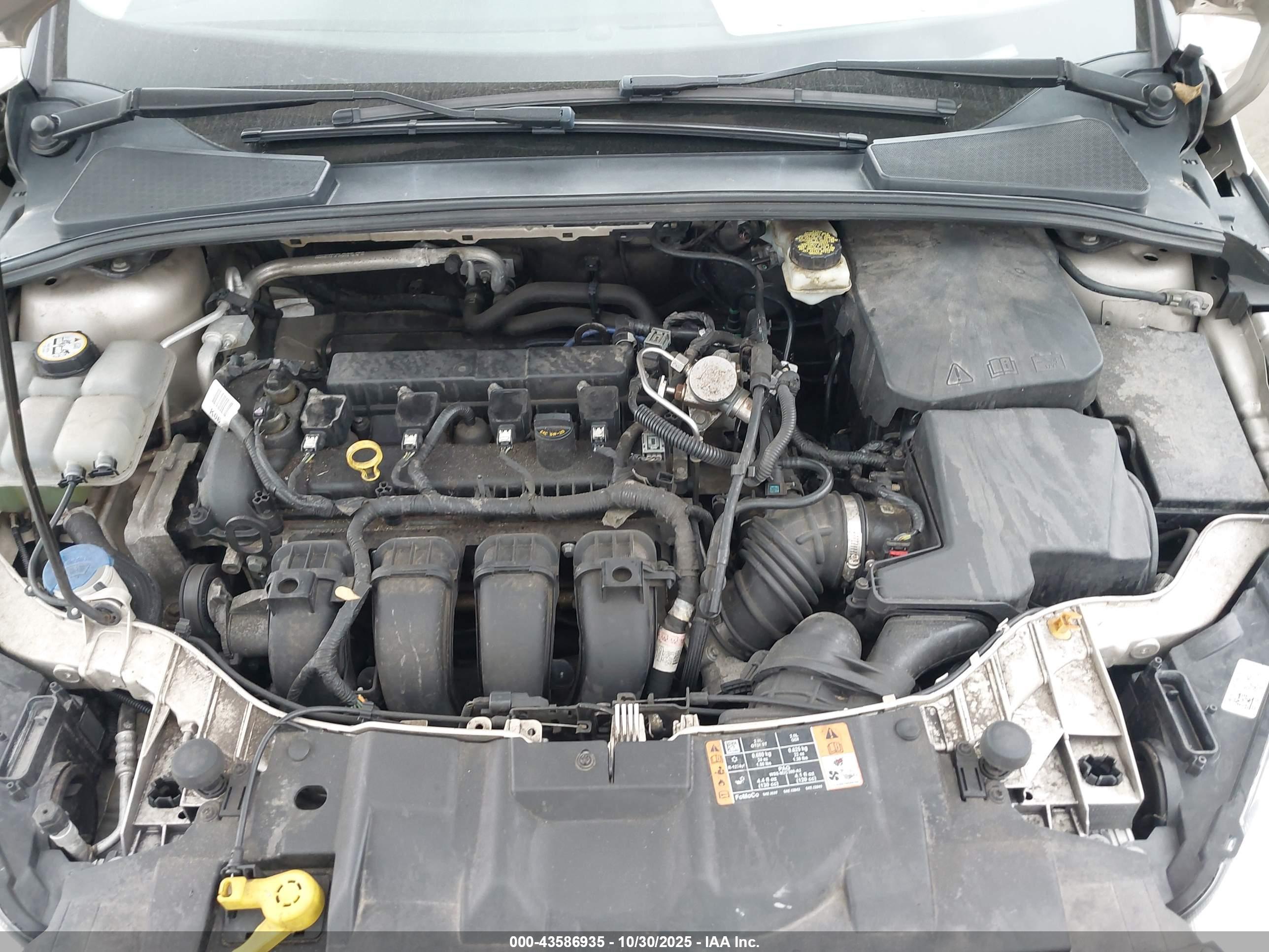 FORD FOCUS image 10