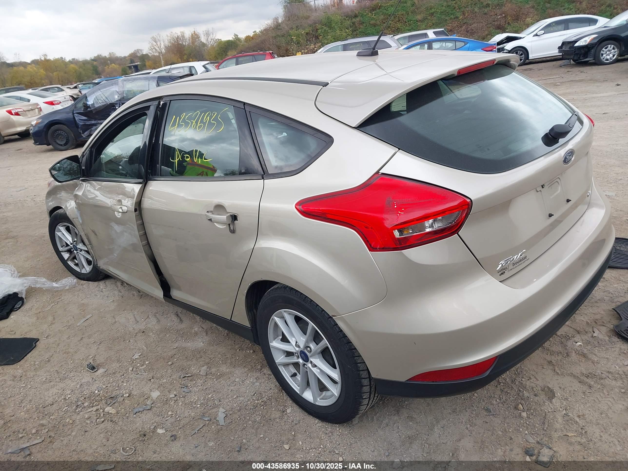 FORD FOCUS image 3