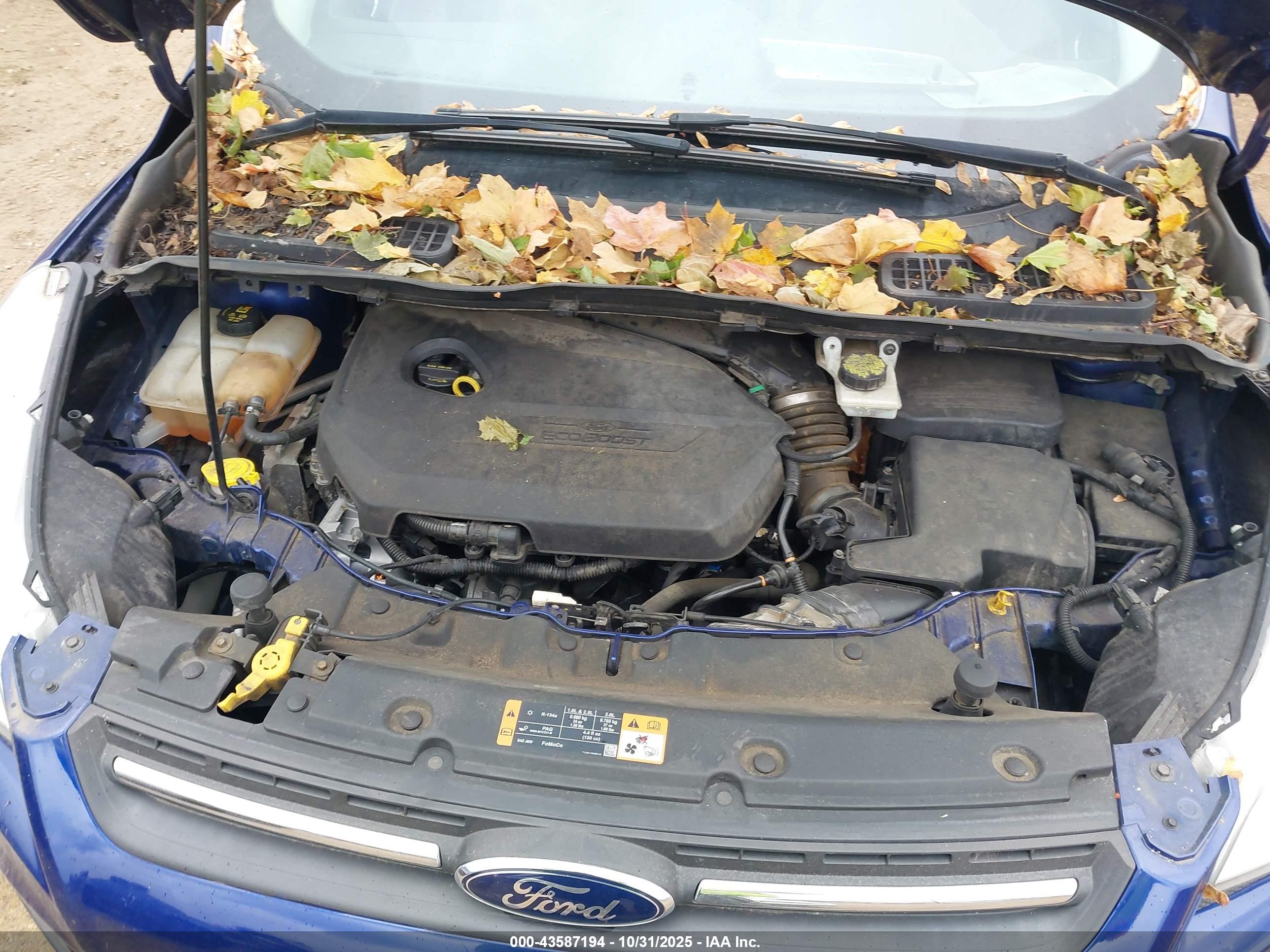 FORD ESCAPE image 10
