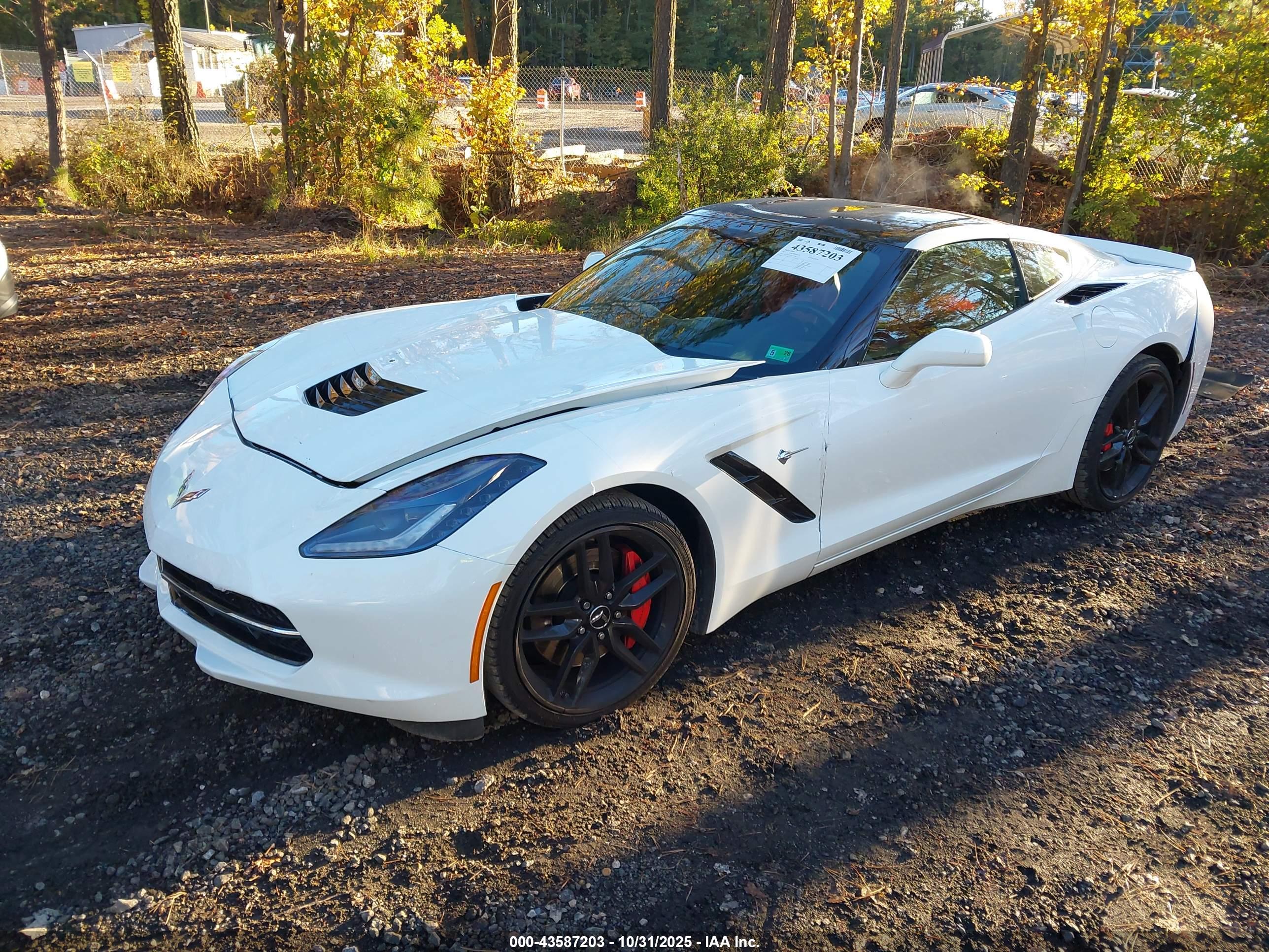 CHEVROLET CORVETTE image 2