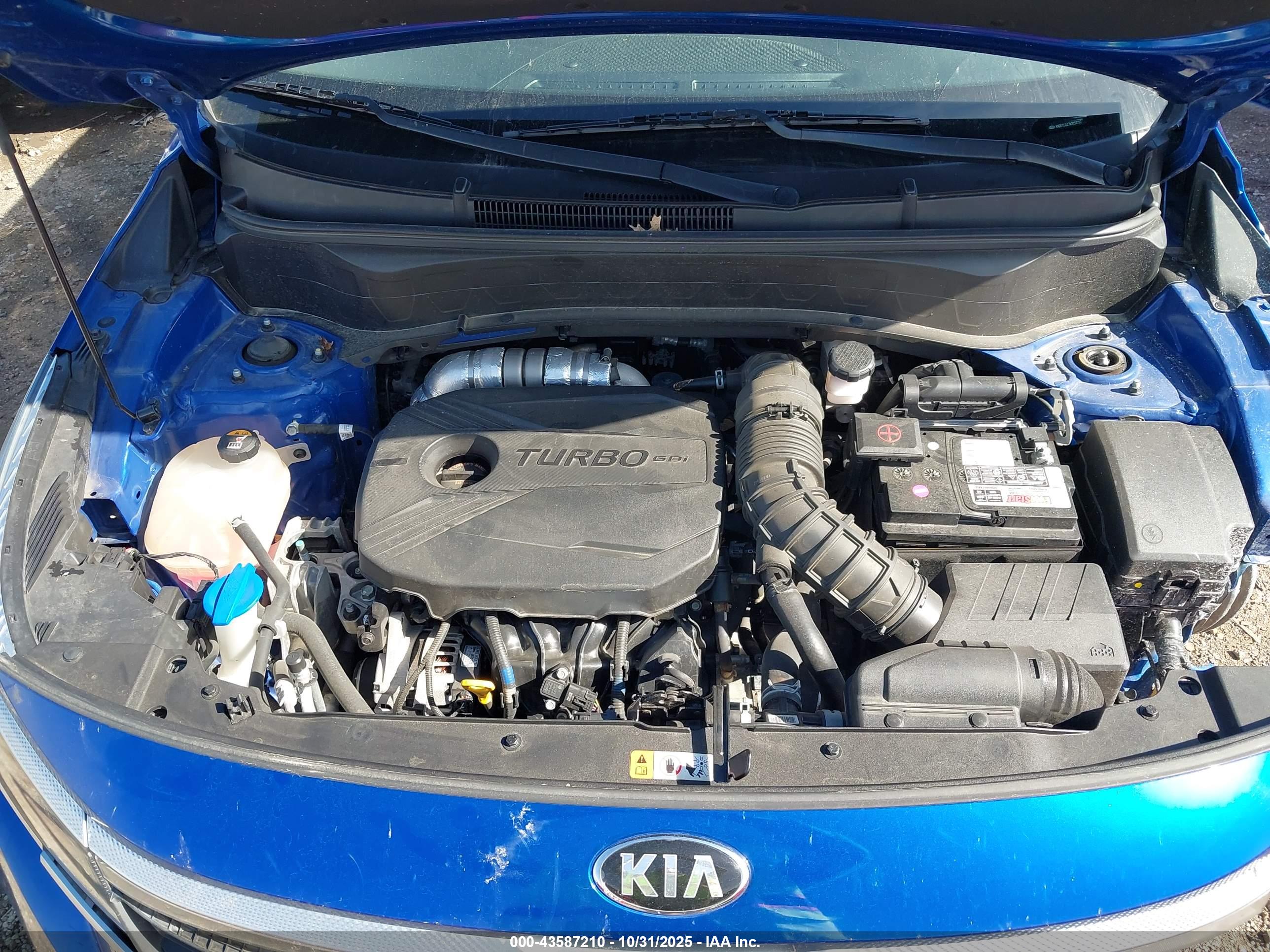 KIA SELTOS image 10