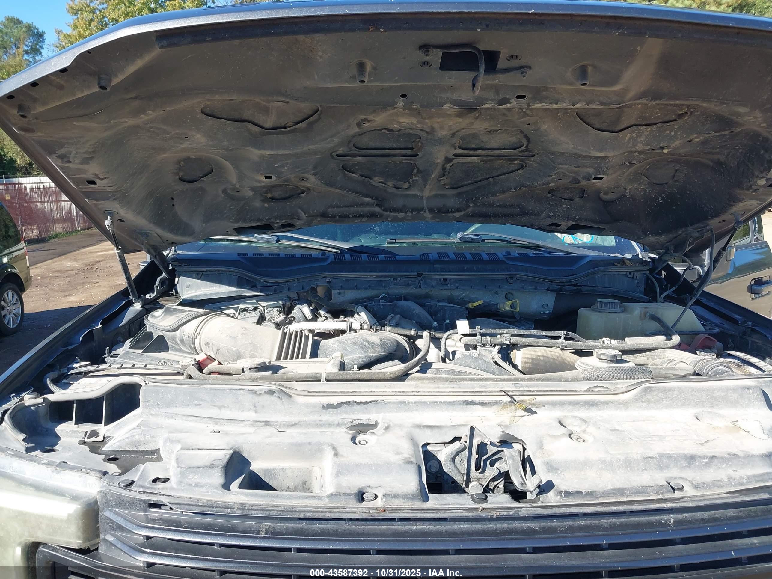 FORD F-250 image 10