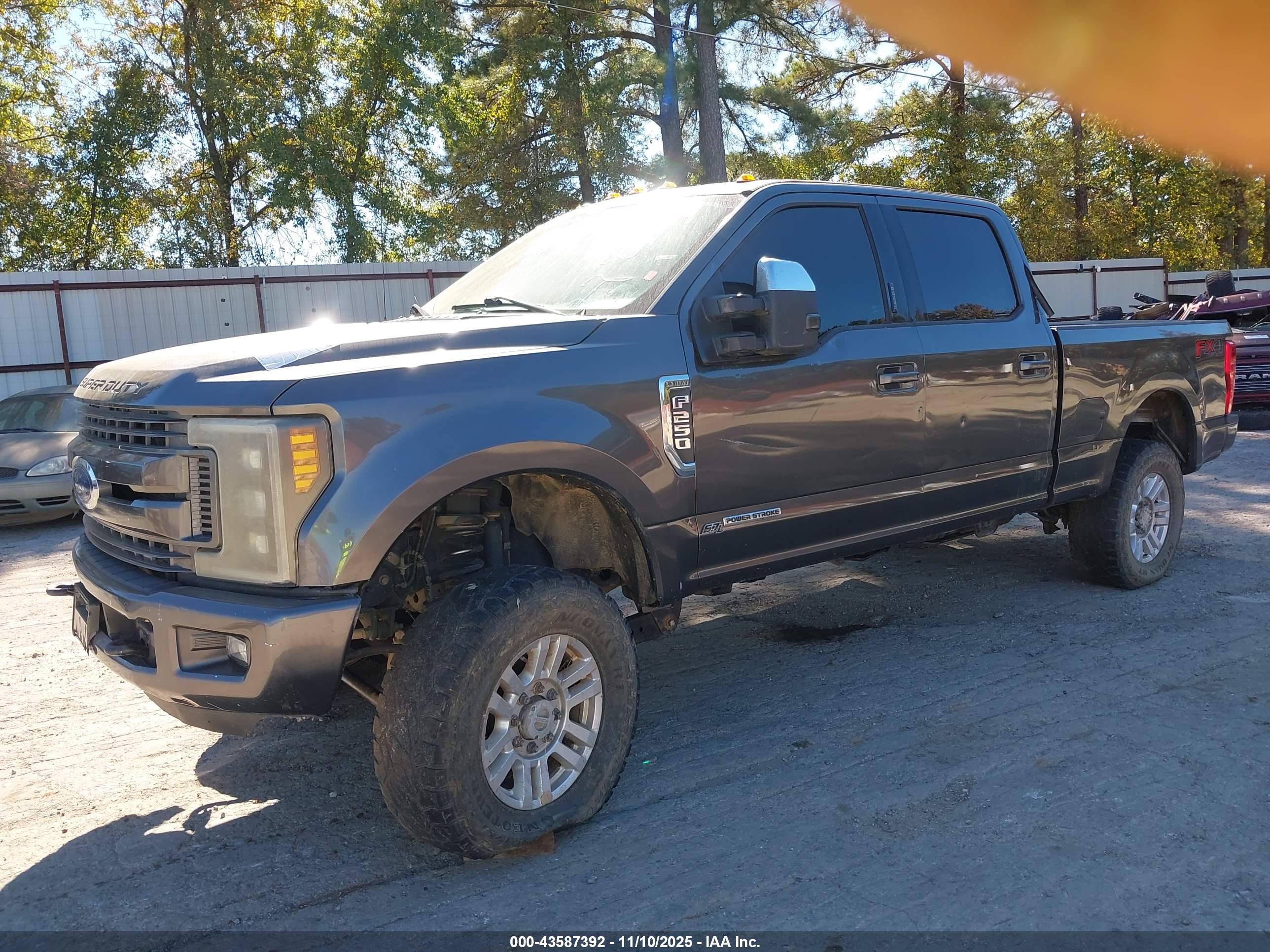 FORD F-250 image 2