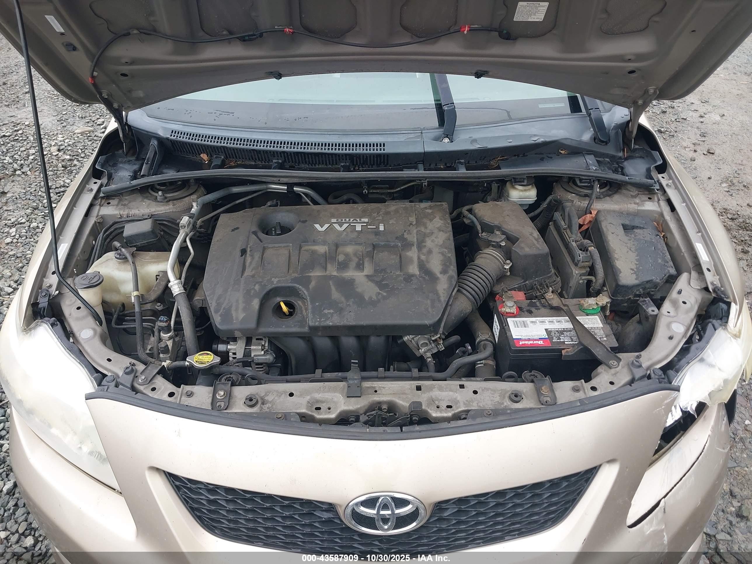 TOYOTA COROLLA image 10