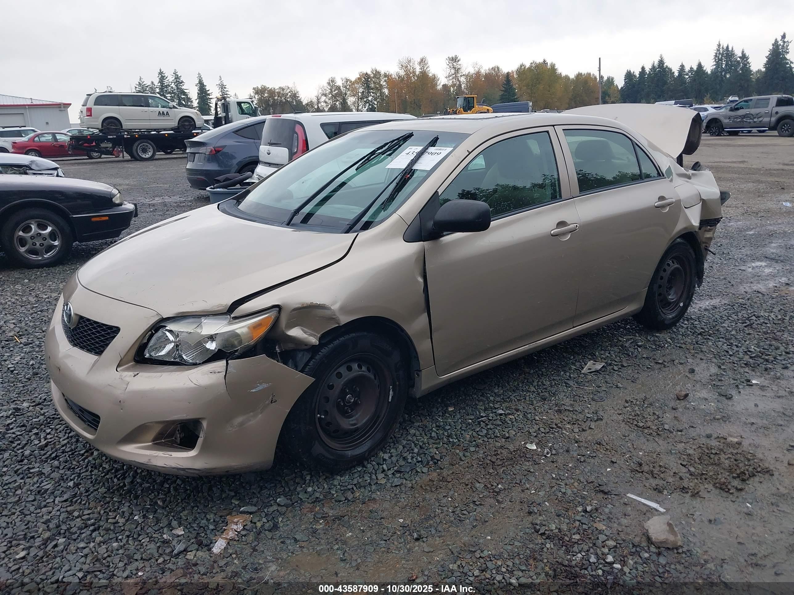 TOYOTA COROLLA image 2