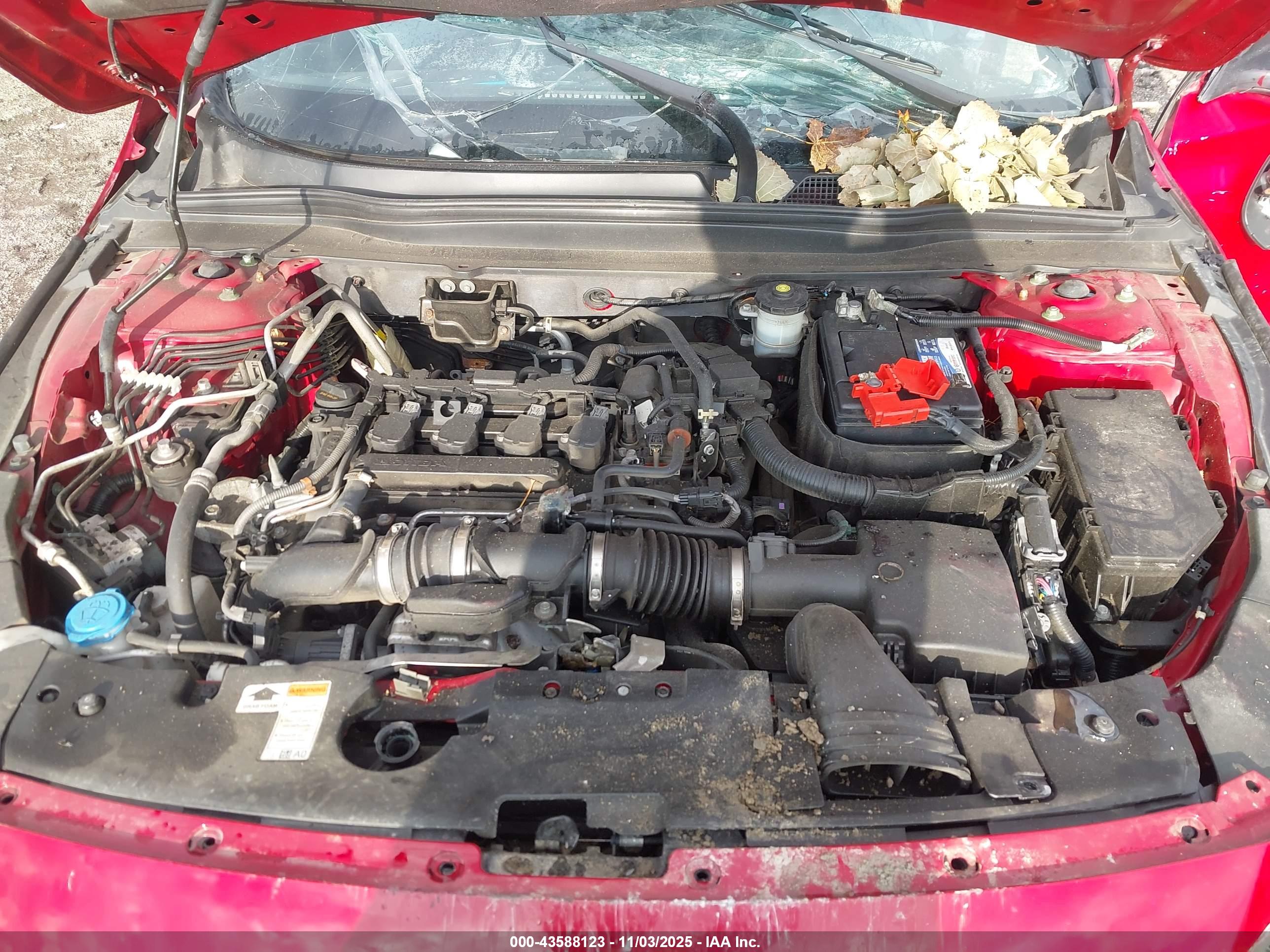 HONDA ACCORD image 10