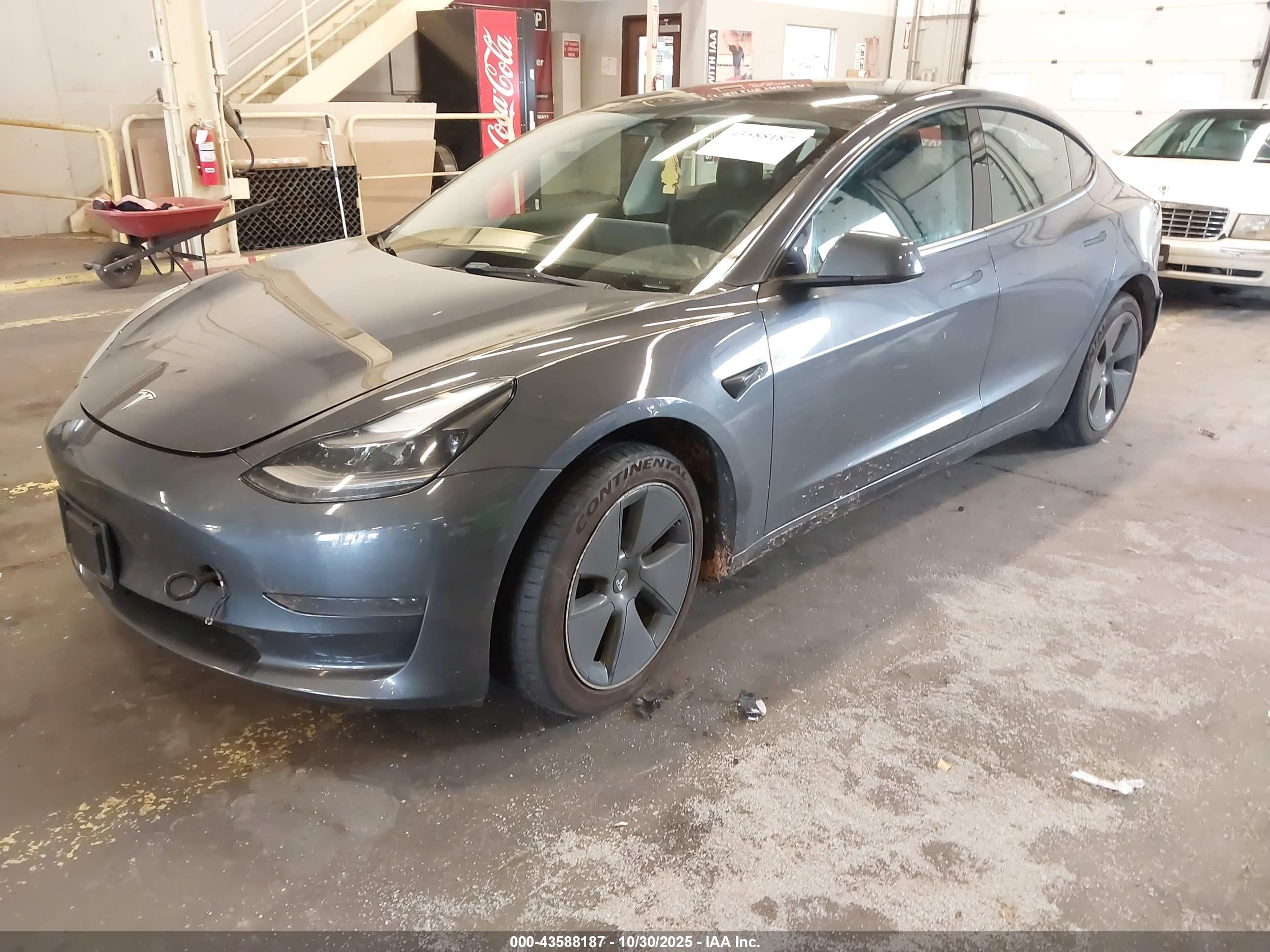 TESLA MODEL image 2
