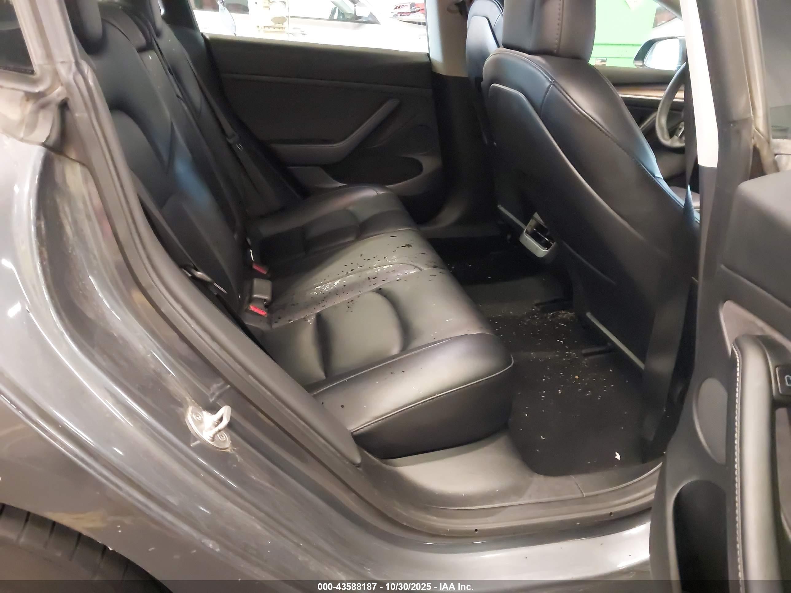 TESLA MODEL image 8