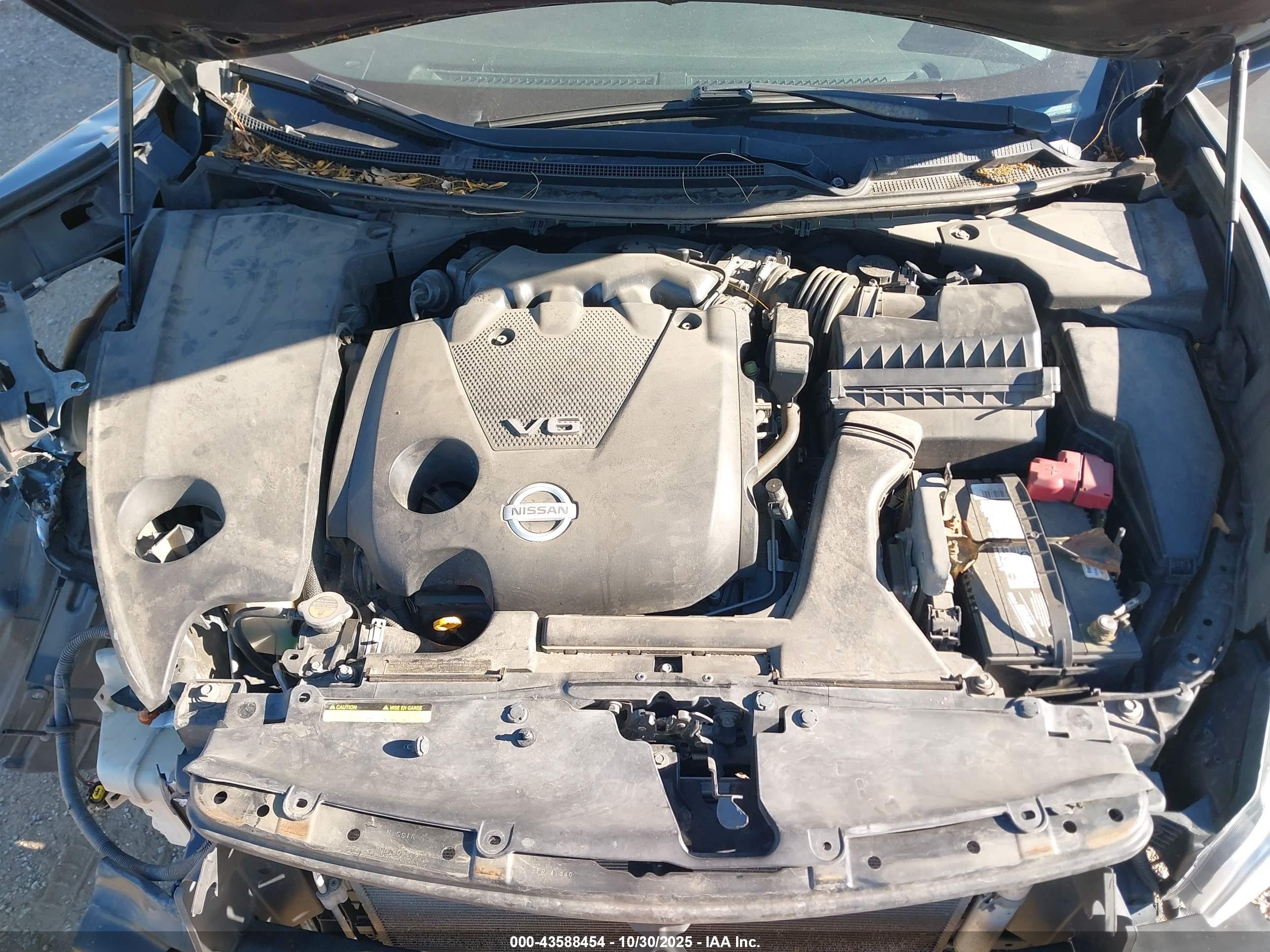NISSAN MAXIMA image 10