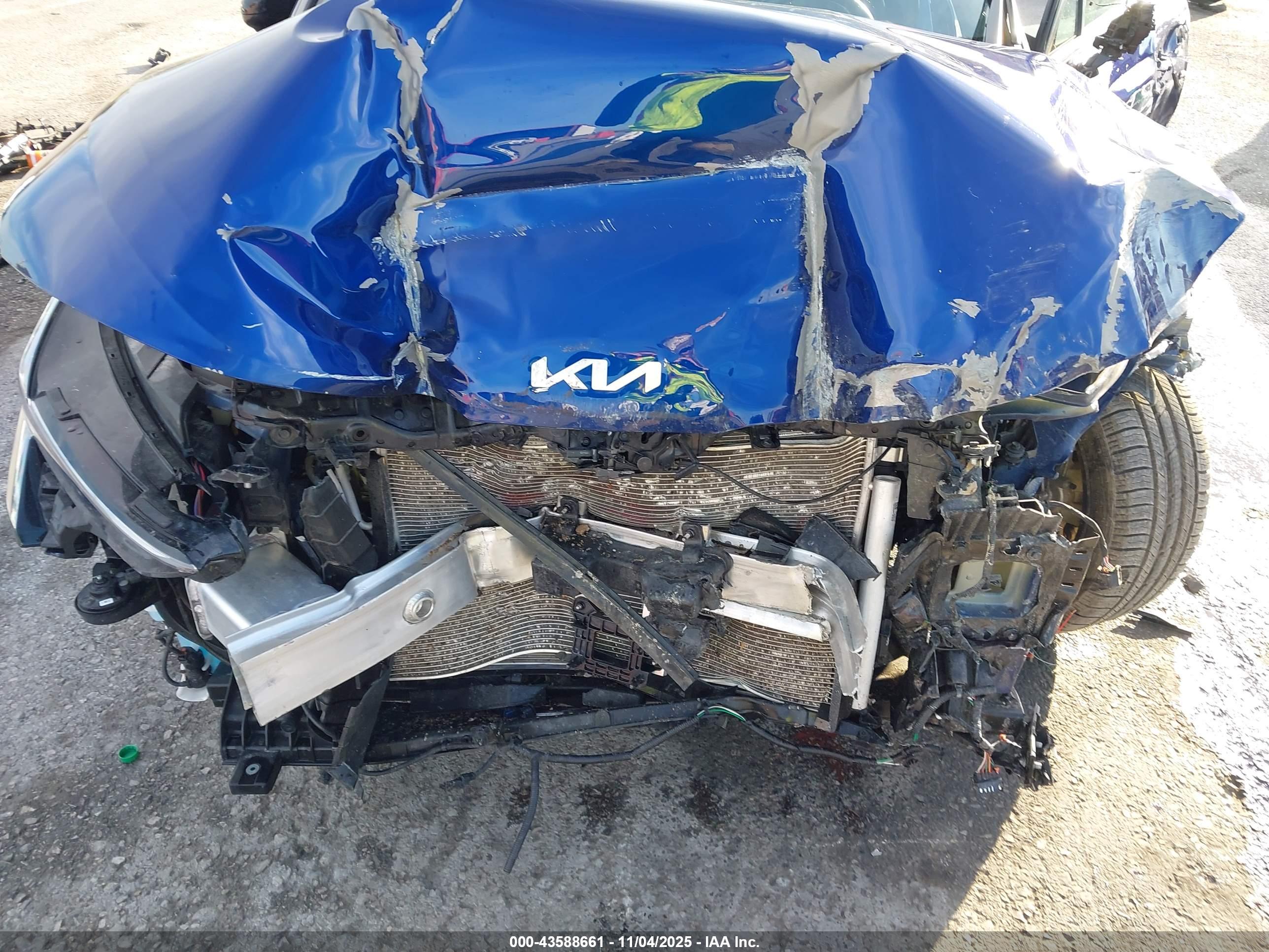 KIA K5 image 6