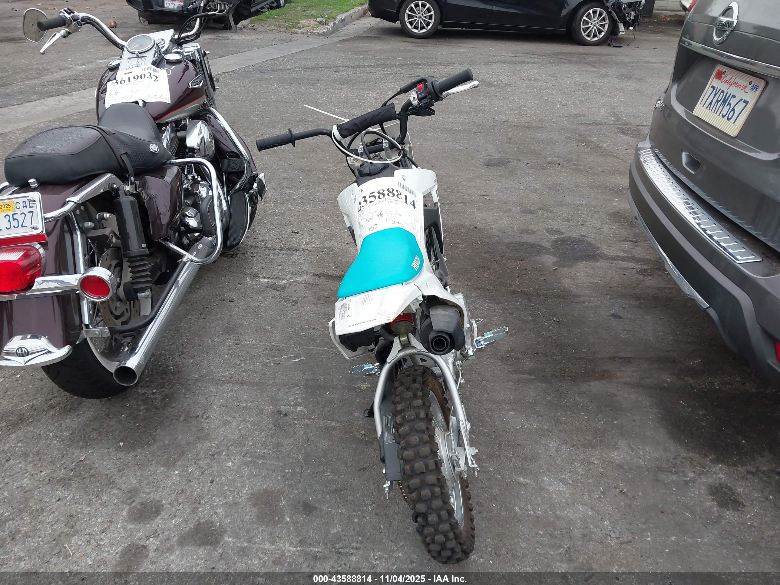 HONDA CRF110 image 6