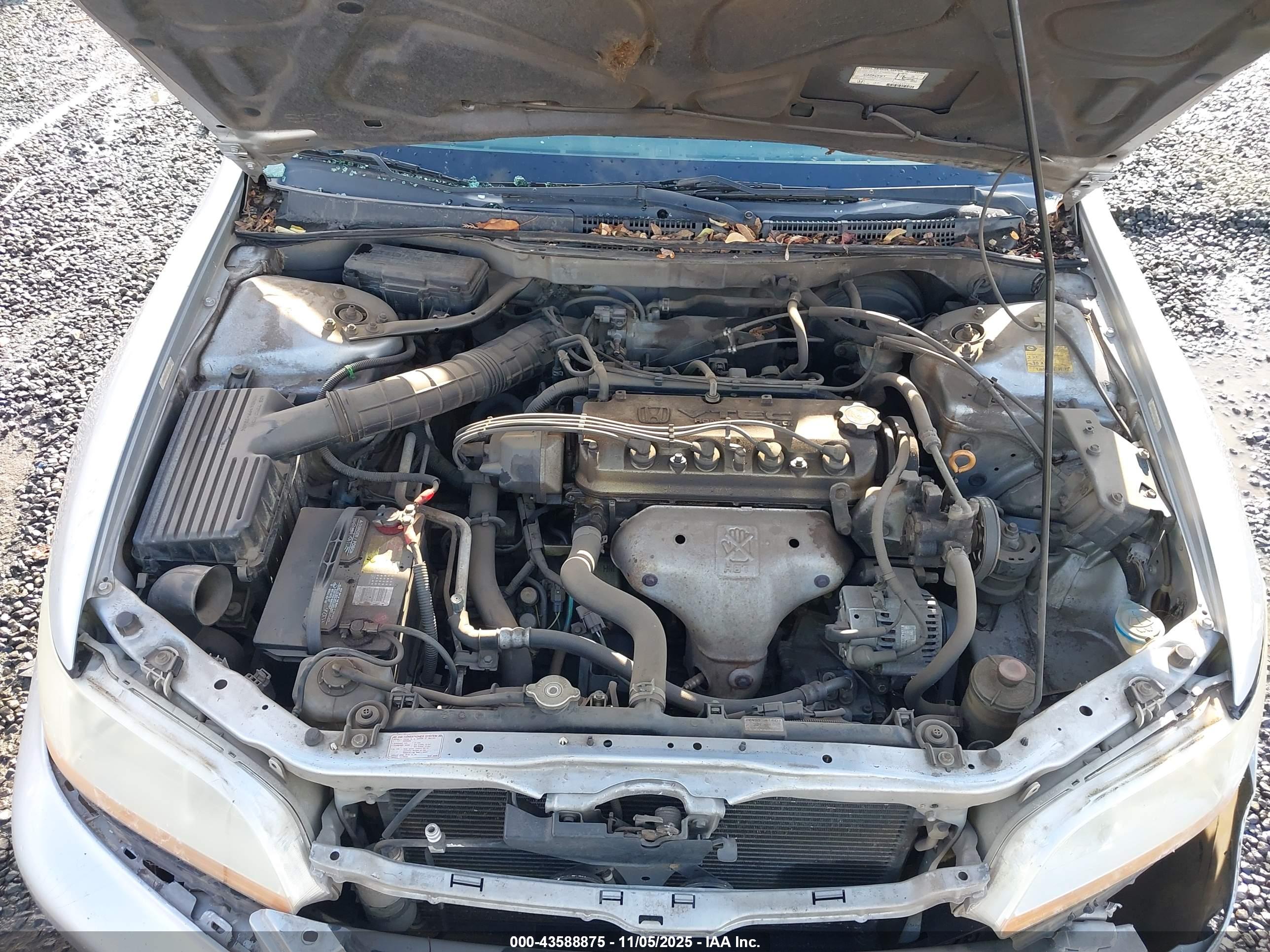 HONDA ACCORD image 10
