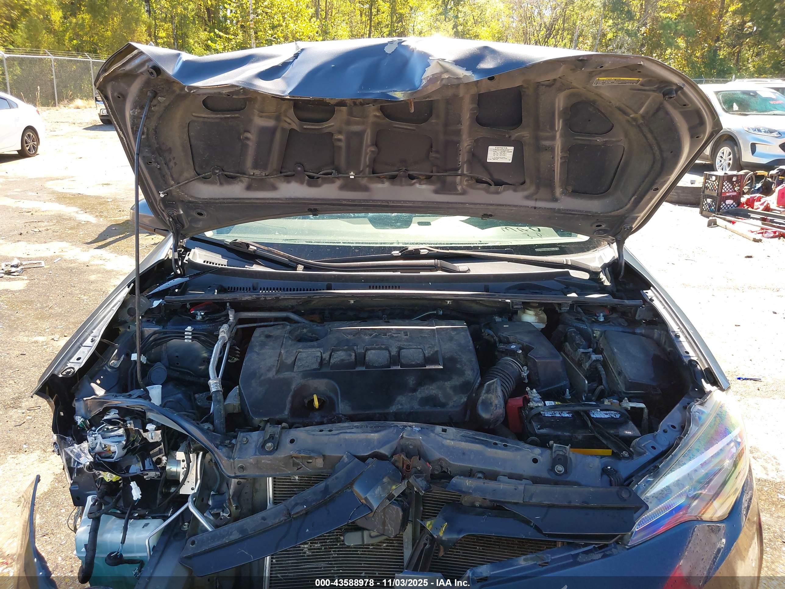 TOYOTA COROLLA image 10