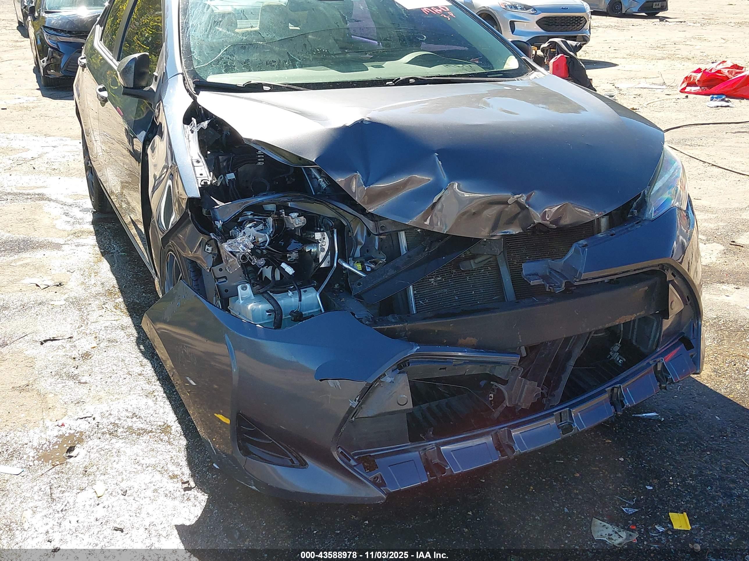 TOYOTA COROLLA image 6