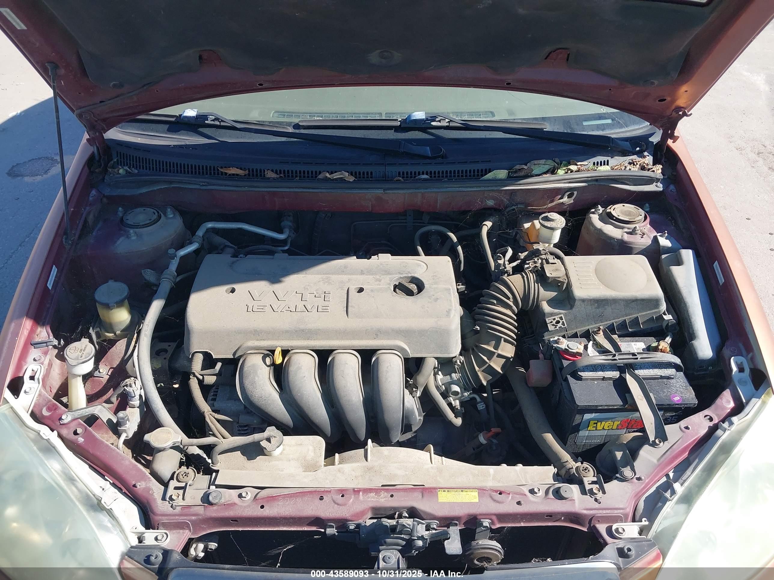 TOYOTA COROLLA image 10