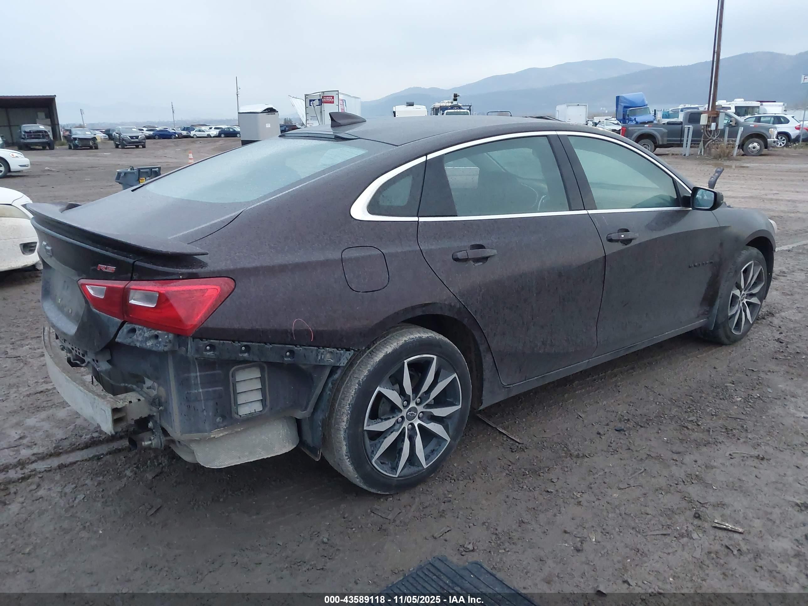 CHEVROLET MALIBU image 4
