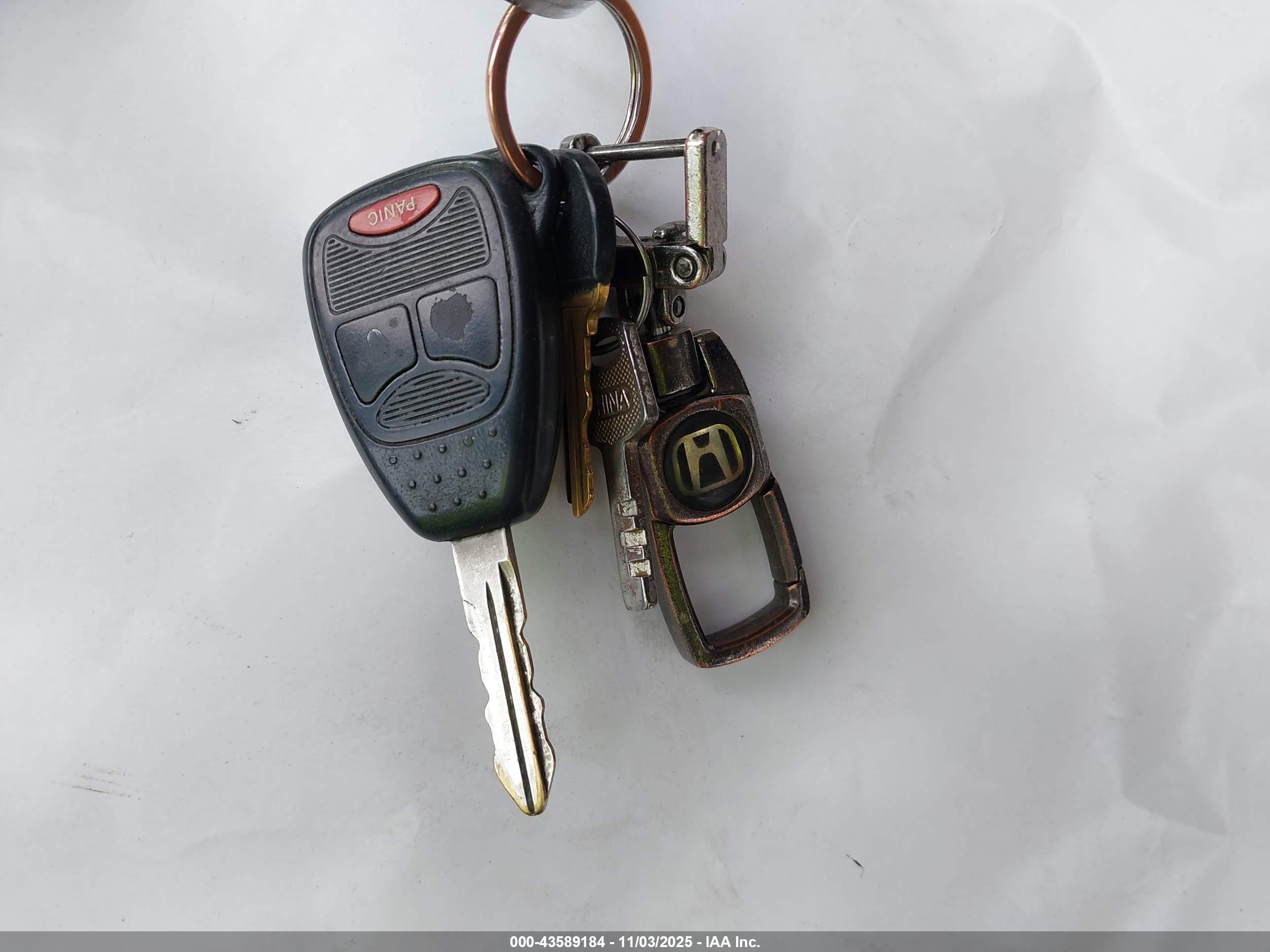 JEEP WRANGLER image 11