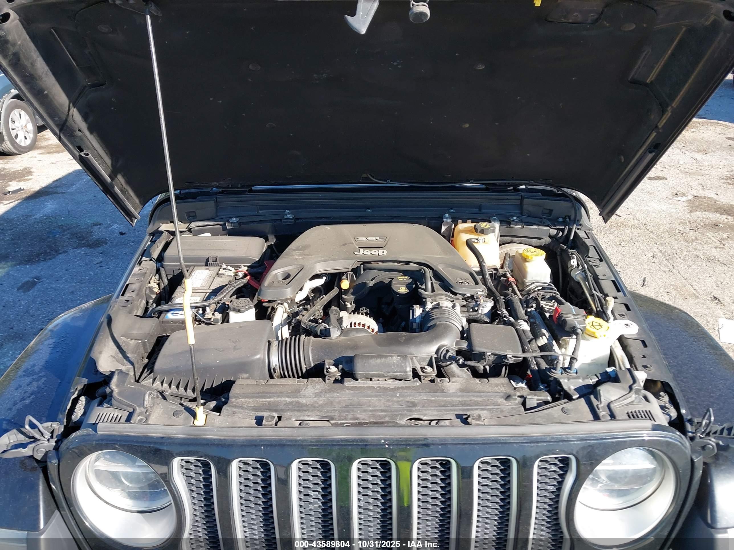 JEEP WRANGLER image 10
