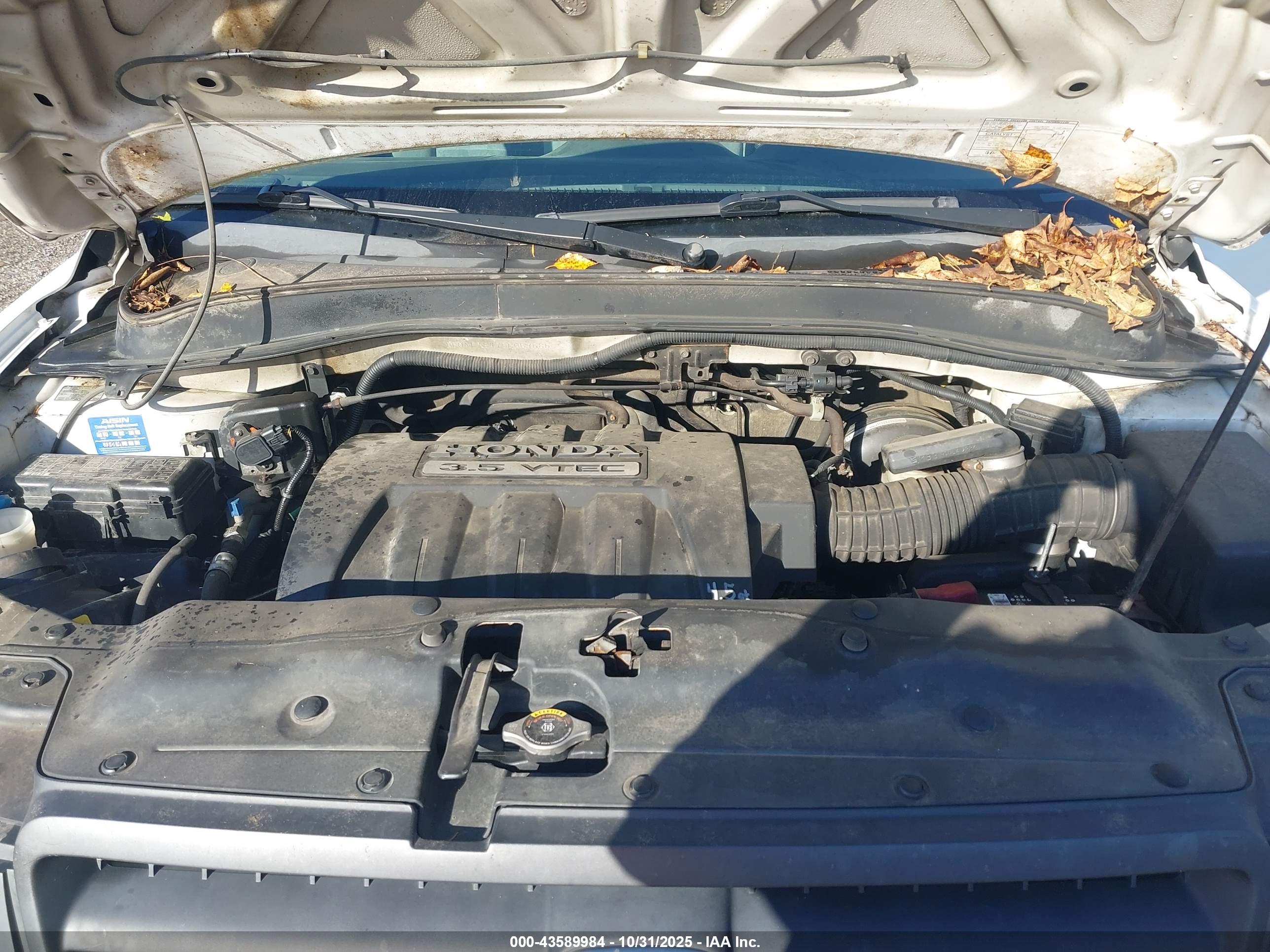 HONDA PILOT image 10
