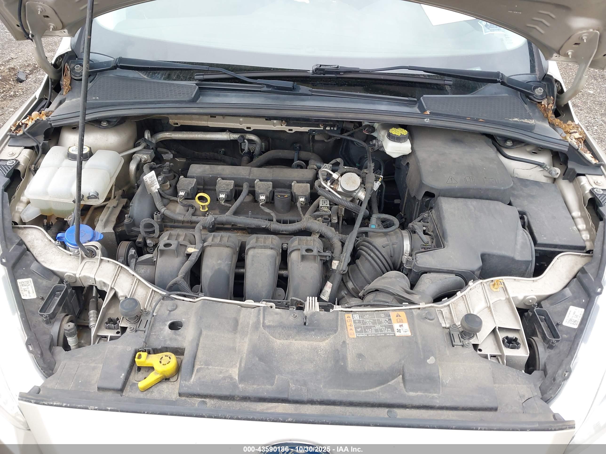 FORD FOCUS image 10