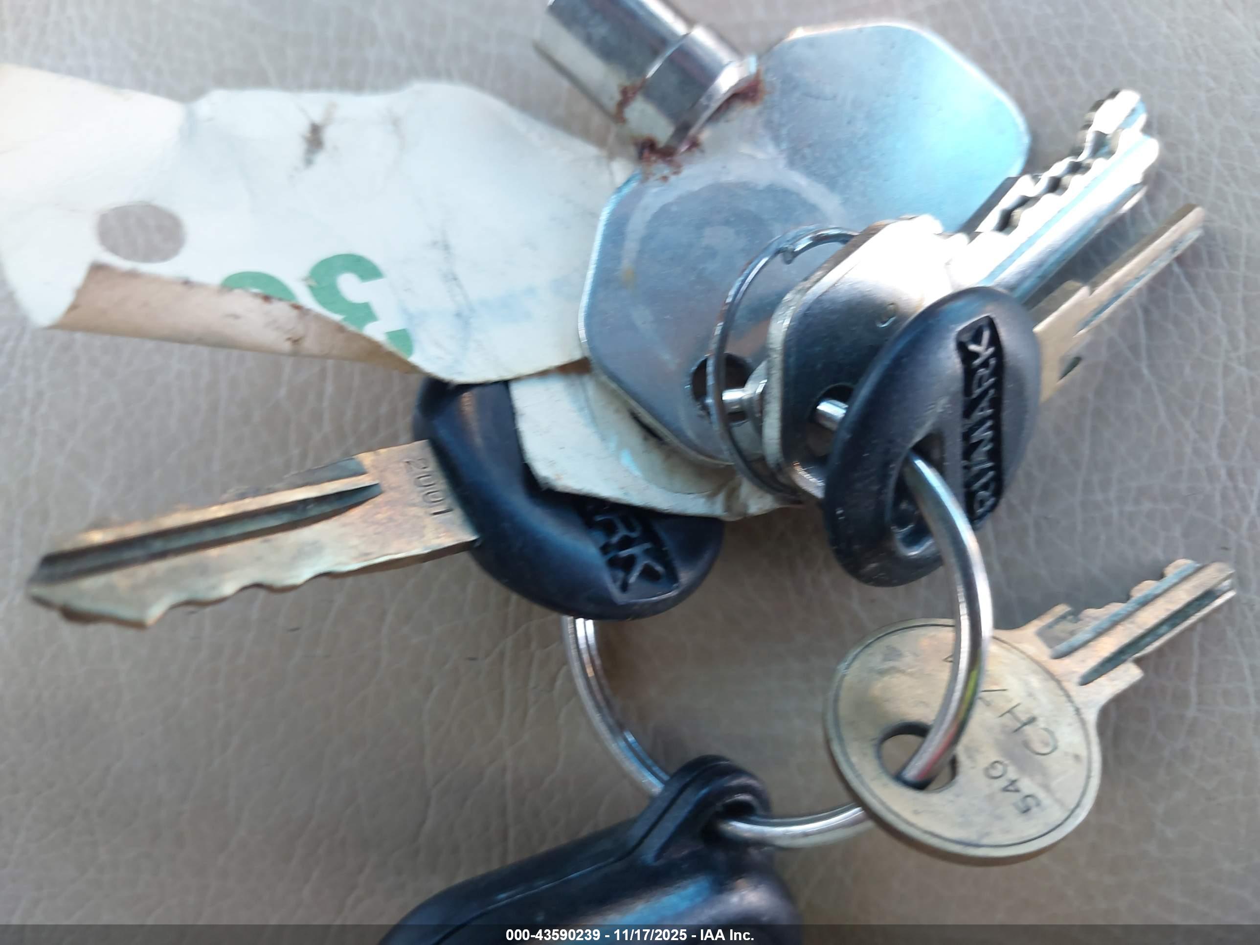ROADMASTER RAIL image 11