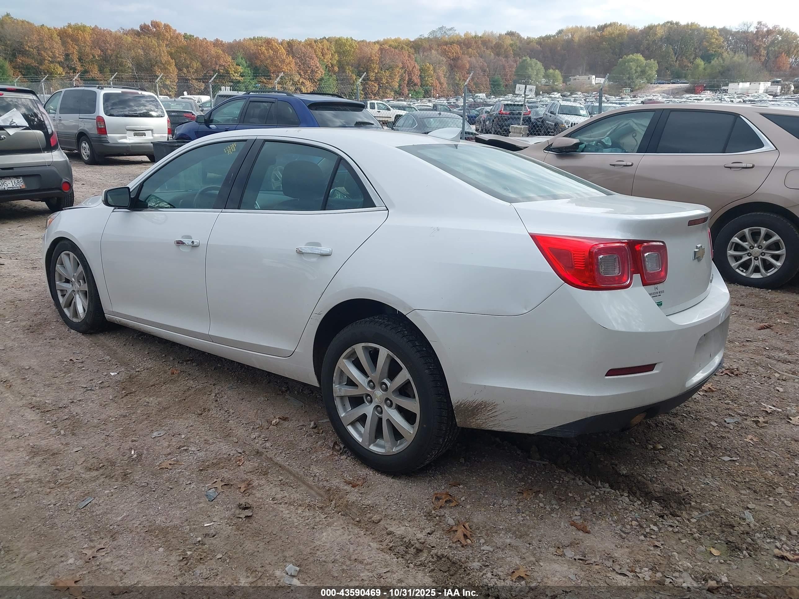 CHEVROLET MALIBU image 3