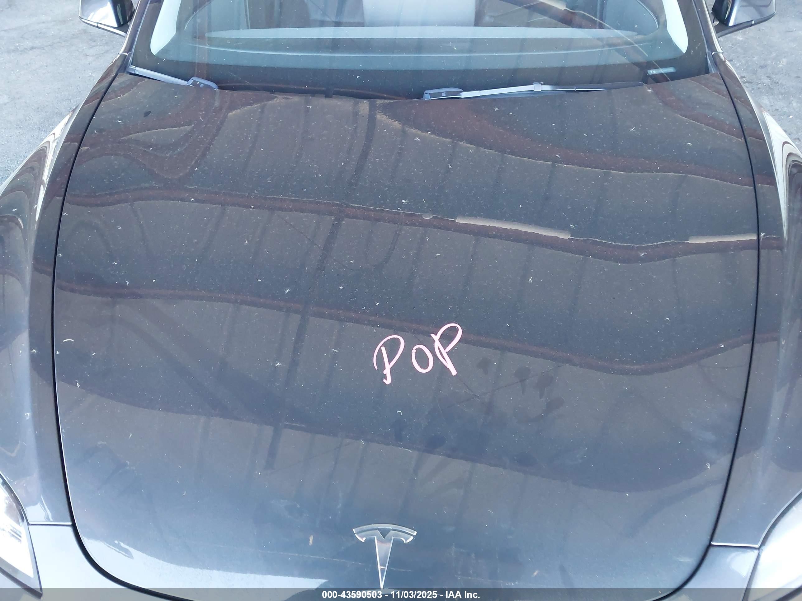TESLA MODEL image 10