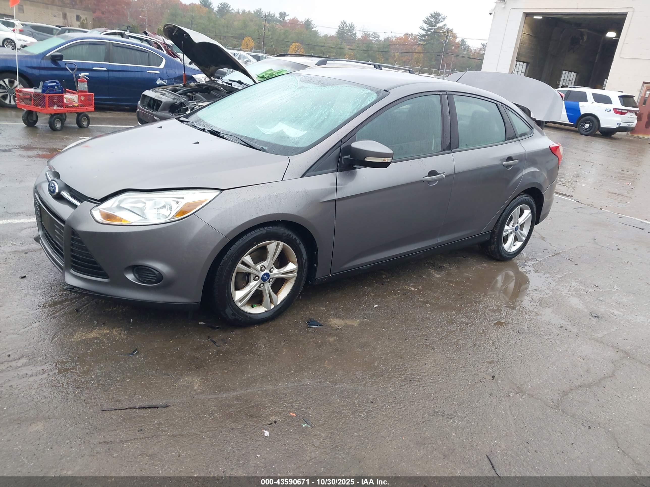 FORD FOCUS image 2