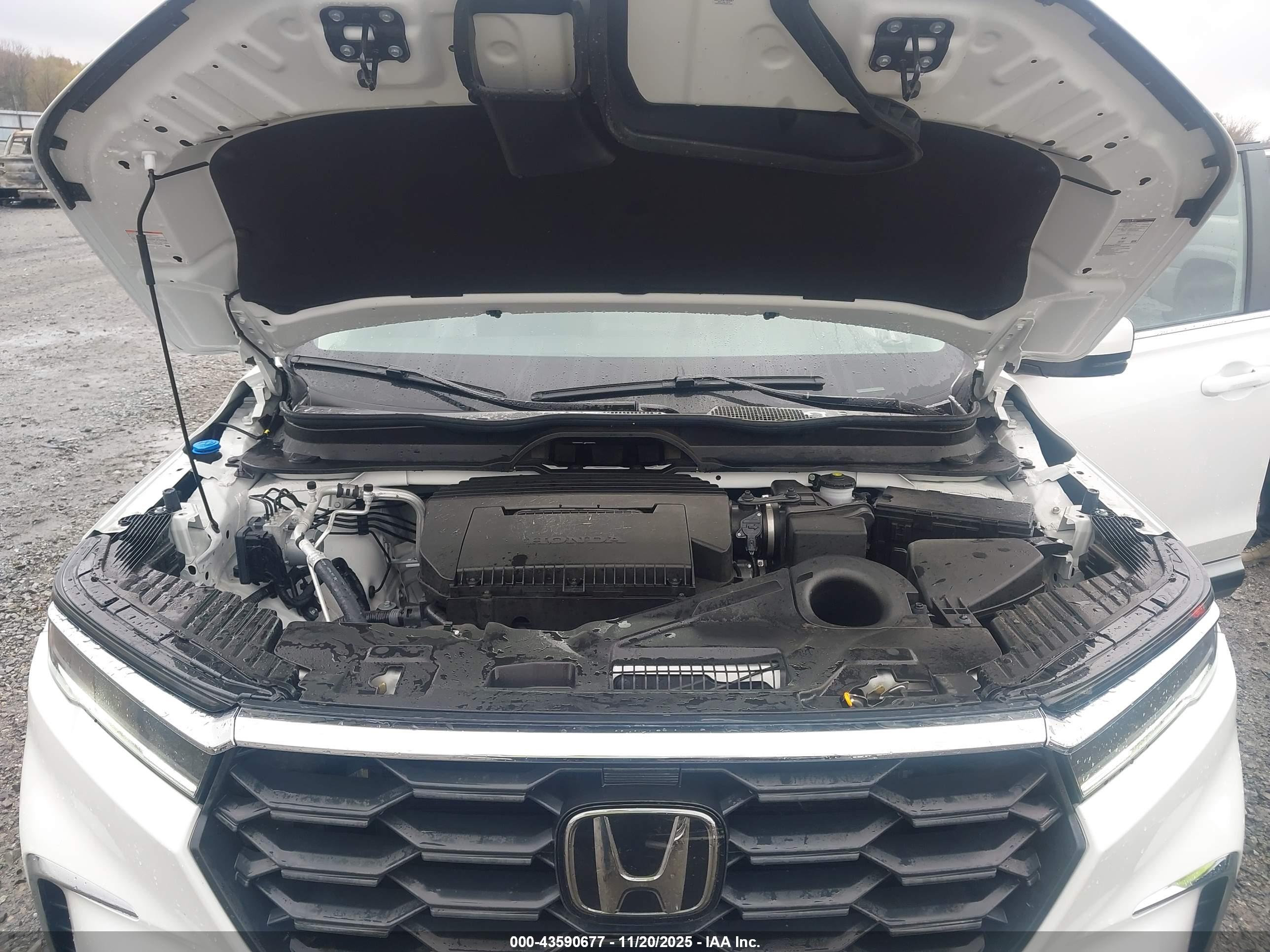 HONDA PILOT image 10