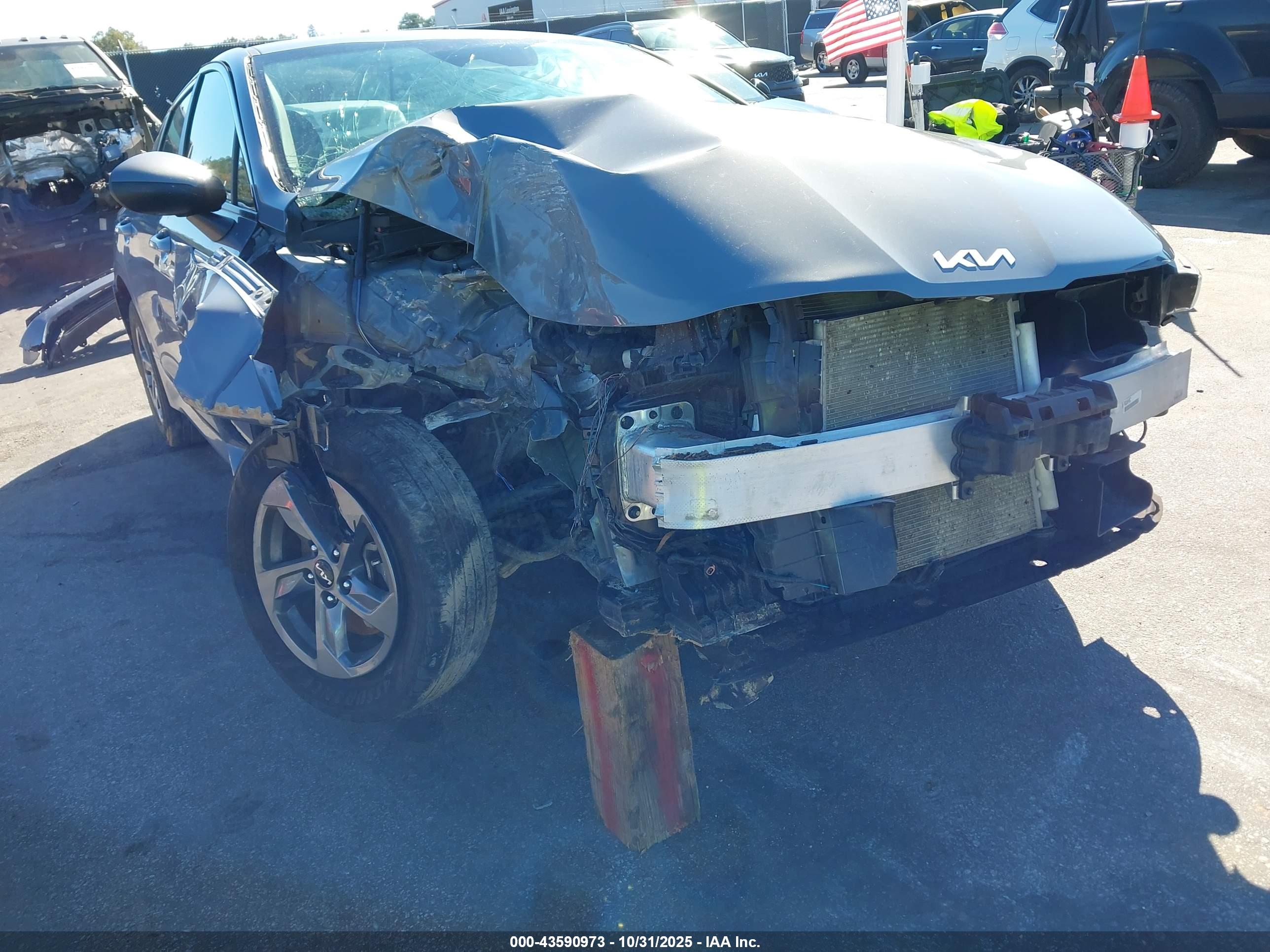 KIA K5 image 6
