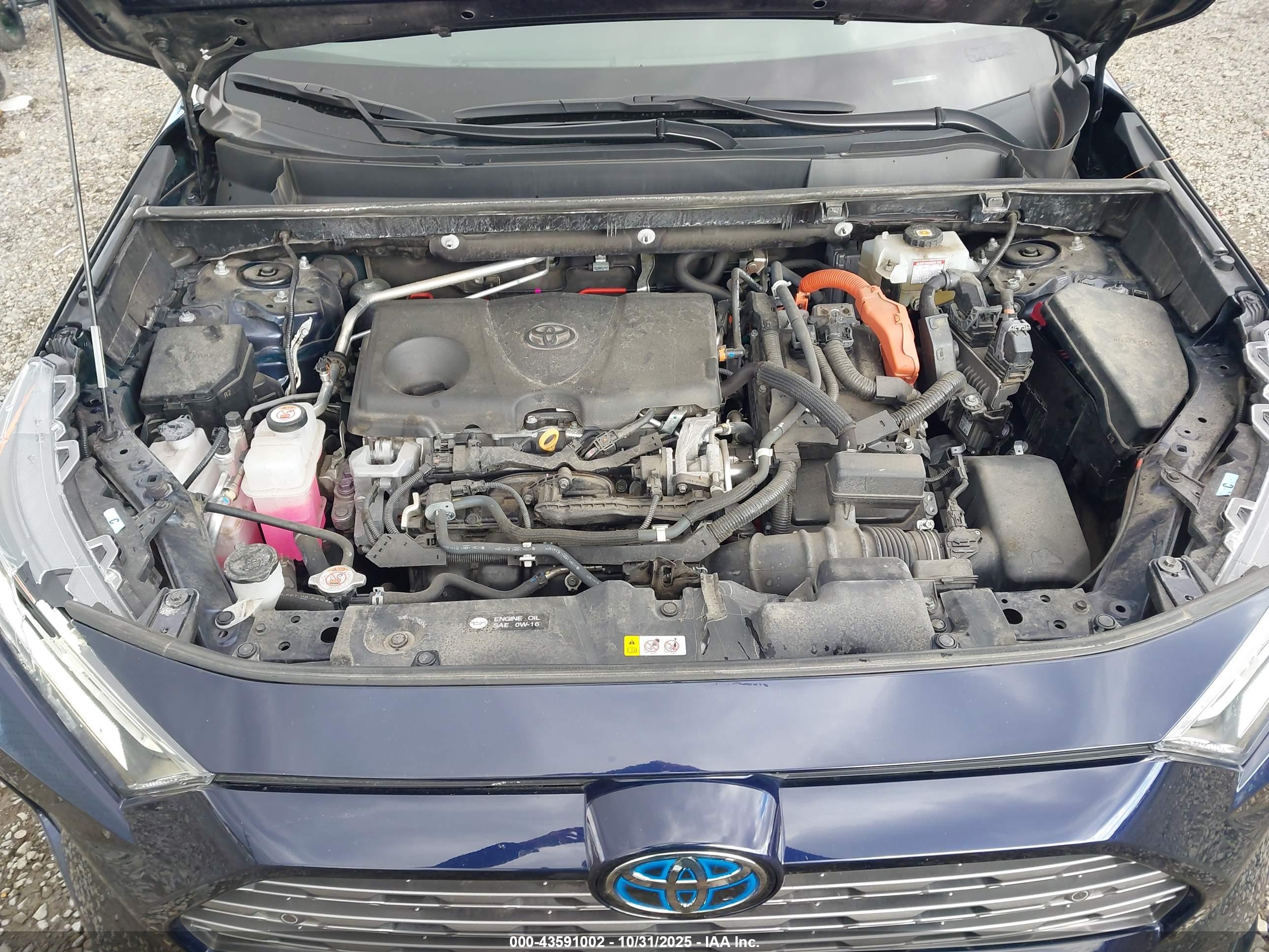 TOYOTA RAV4 image 10