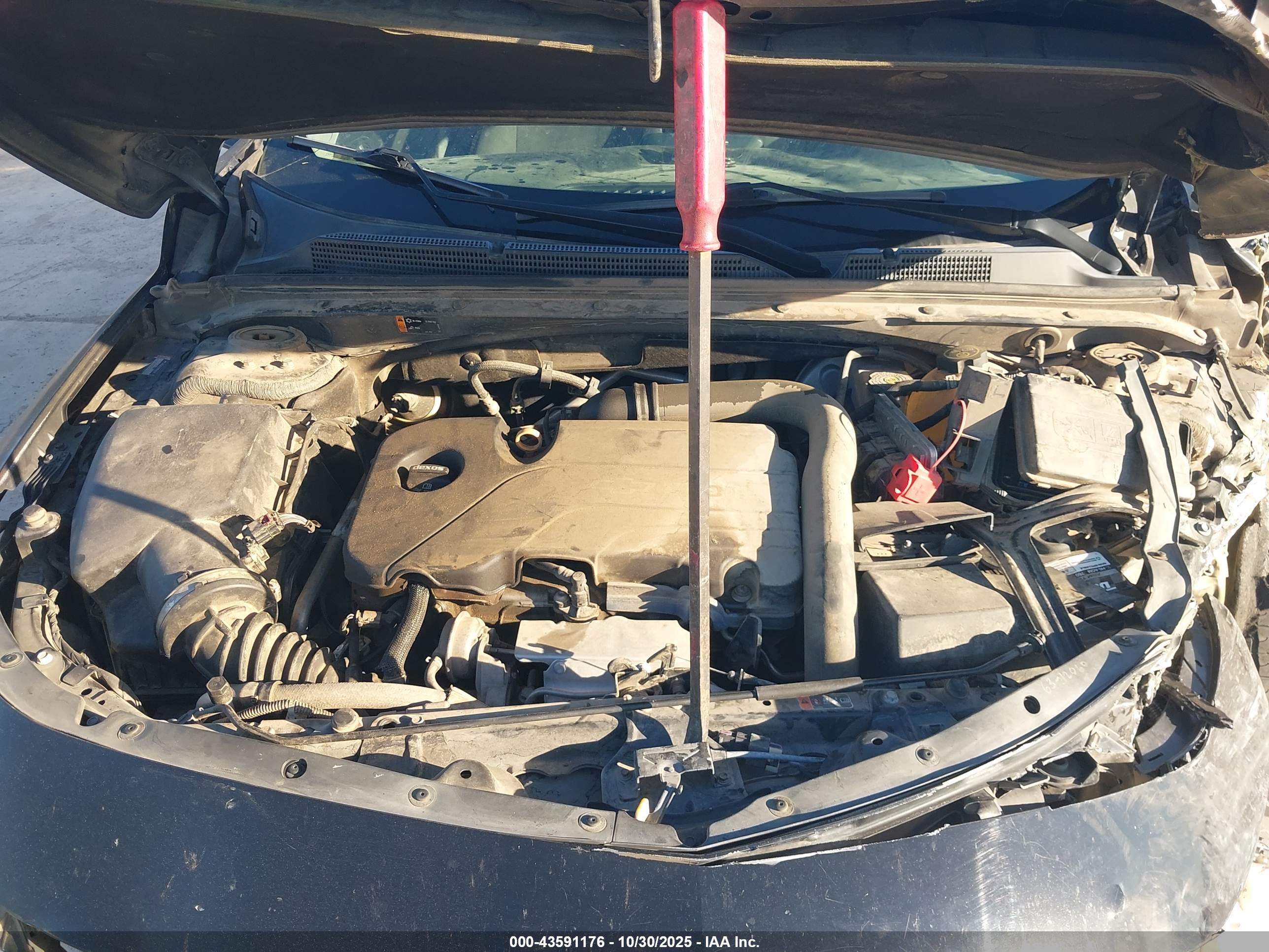 CHEVROLET MALIBU image 10