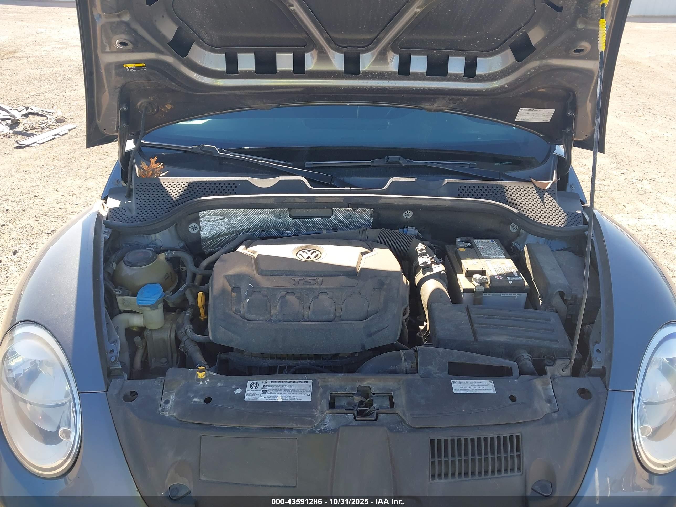 VOLKSWAGEN BEETLE image 10