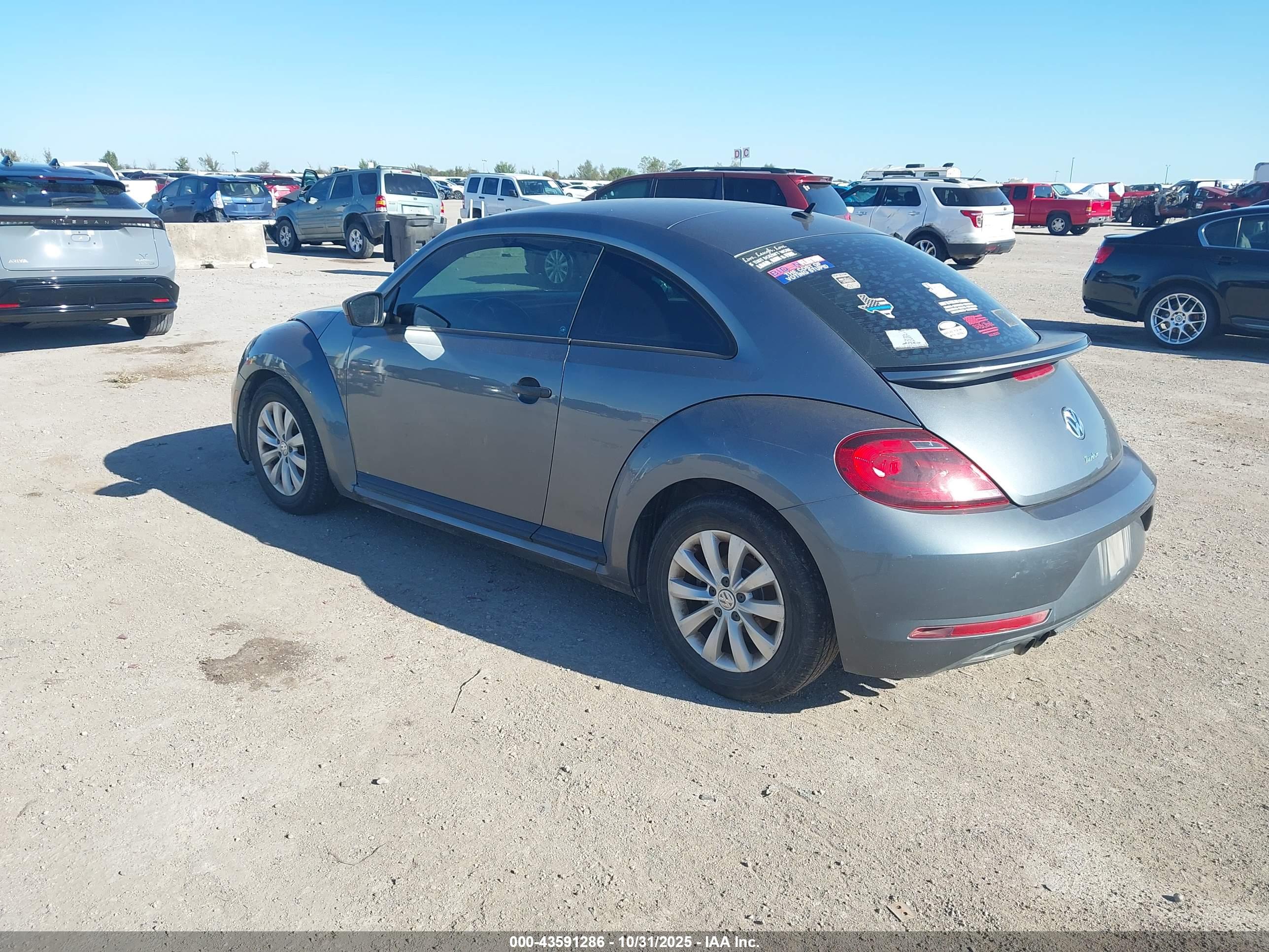 VOLKSWAGEN BEETLE image 3